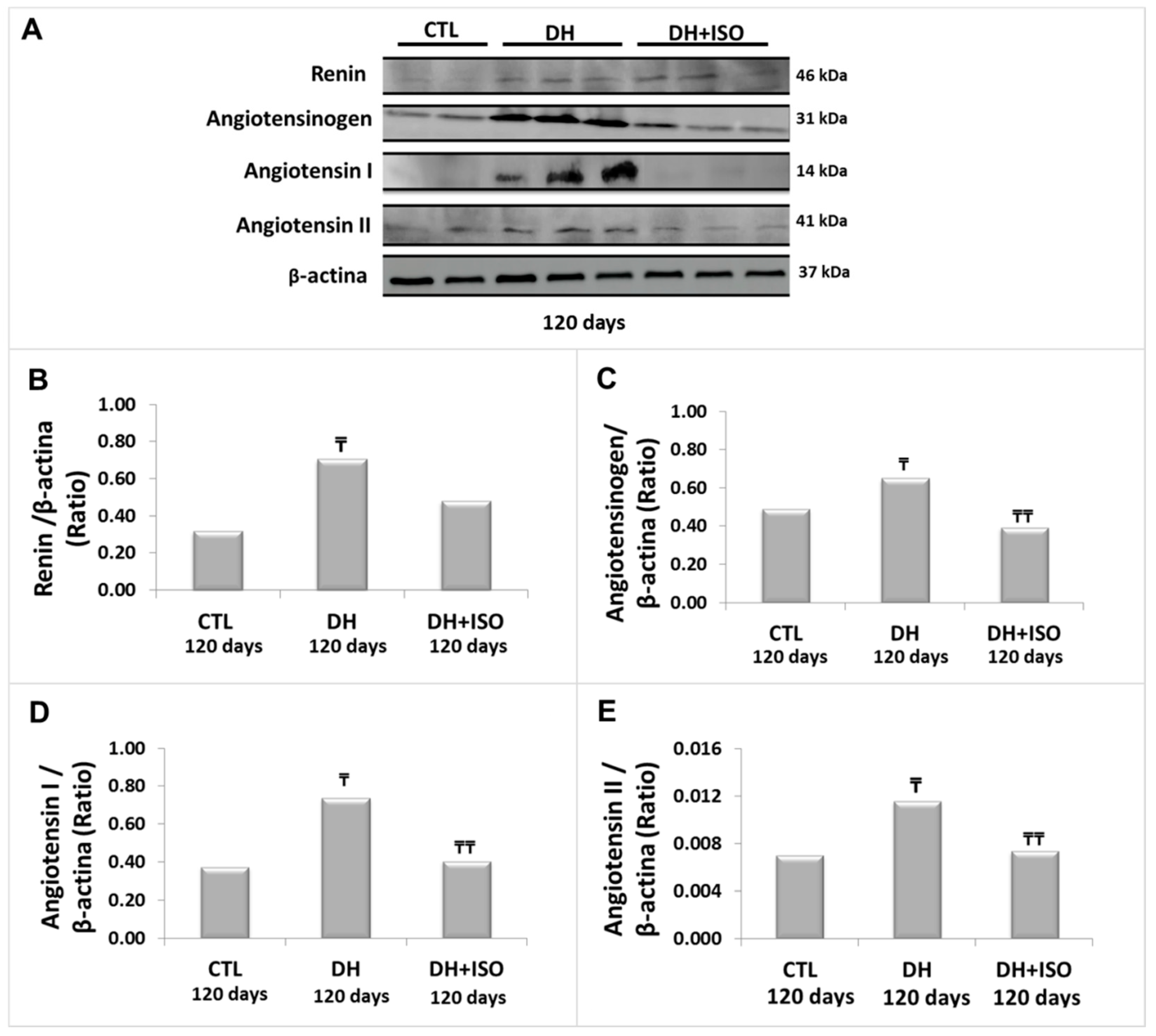 Nutrients 12 01624 g004 Nutrients 12 01624 g004