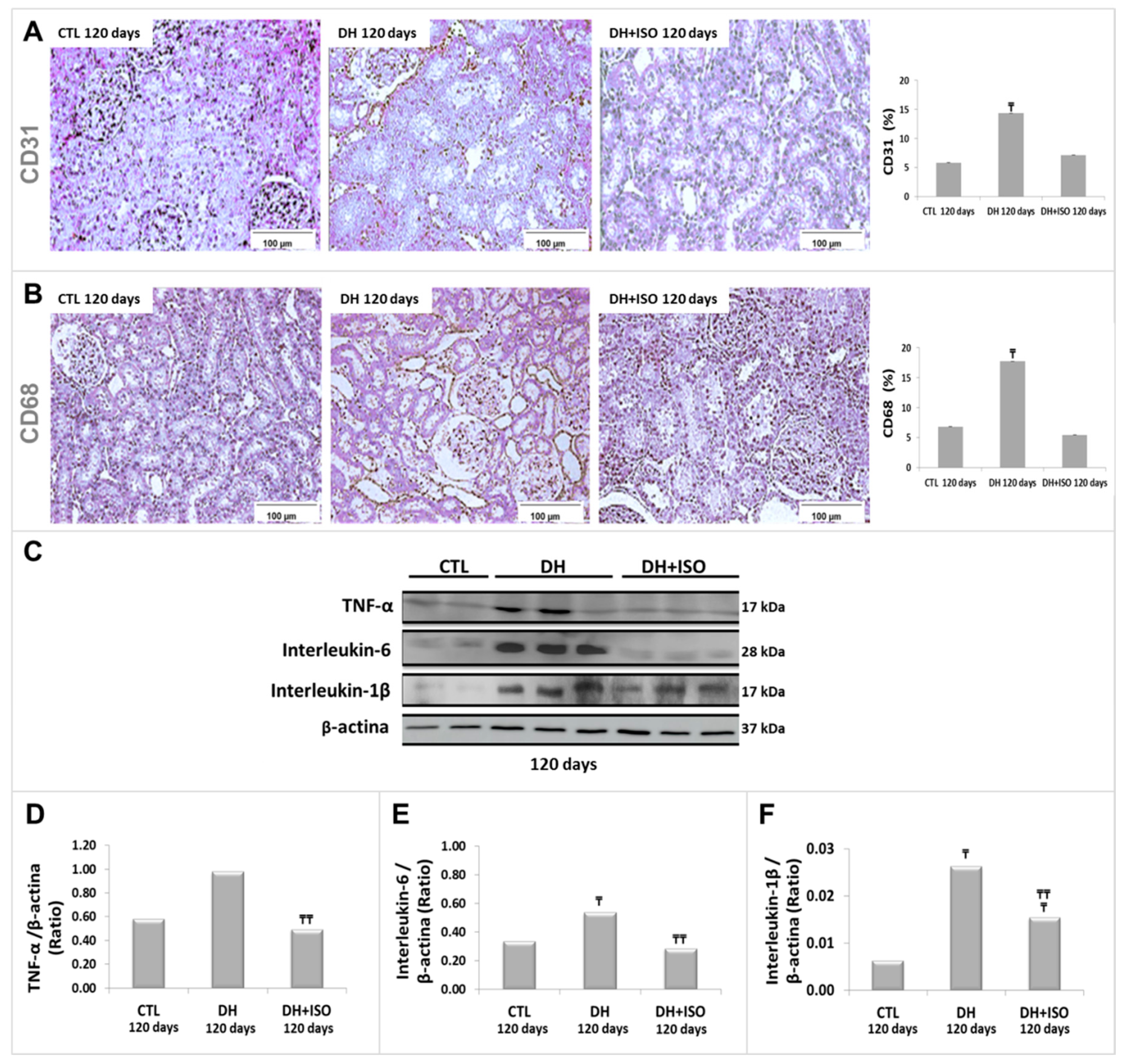 Nutrients 12 01624 g005 Nutrients 12 01624 g005