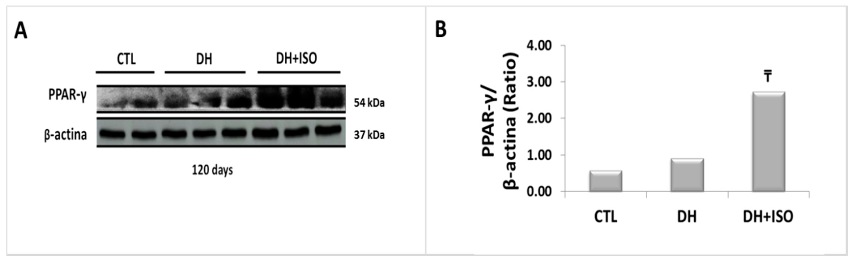 Nutrients 12 01624 g006 Nutrients 12 01624 g006