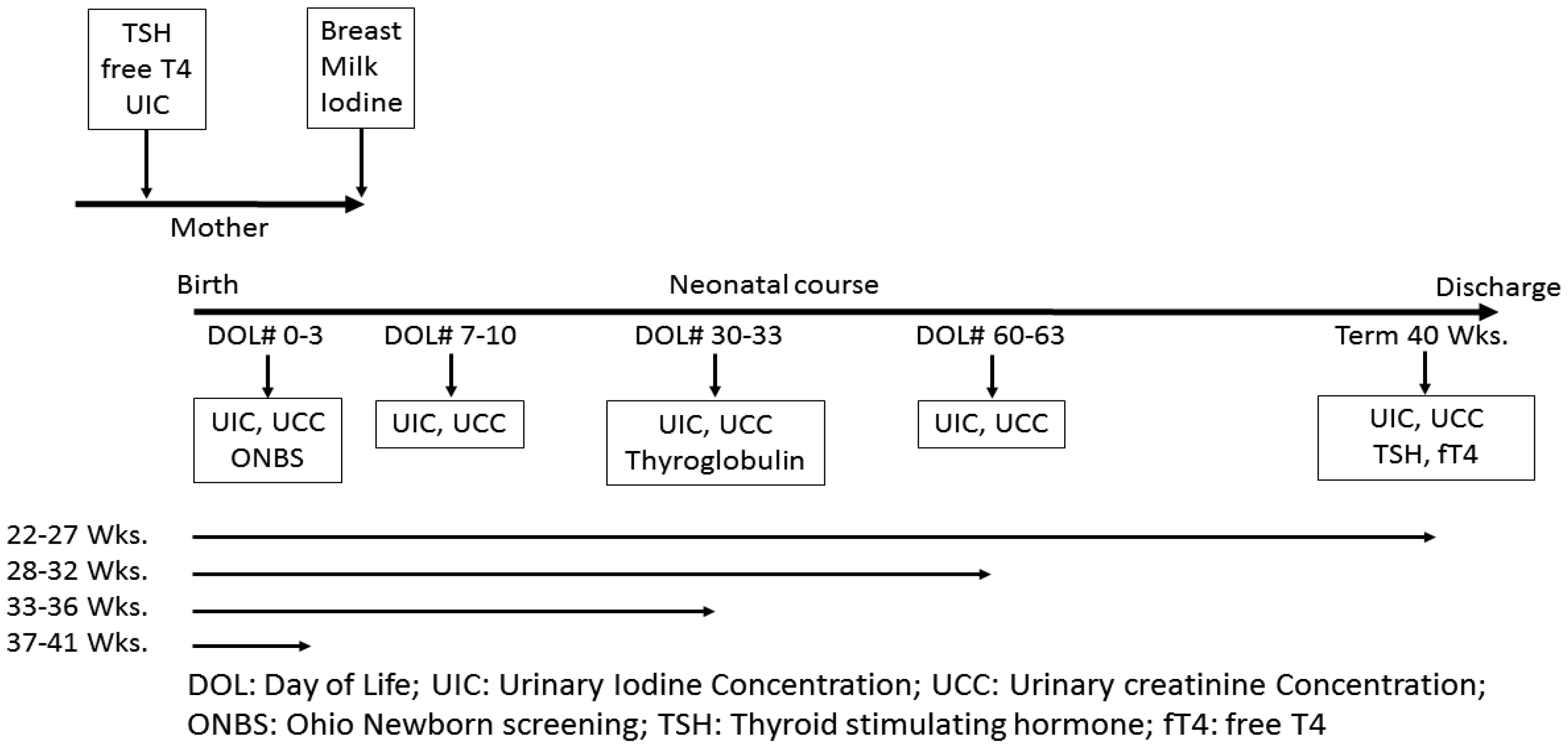 Nutrients 12 01636 g001