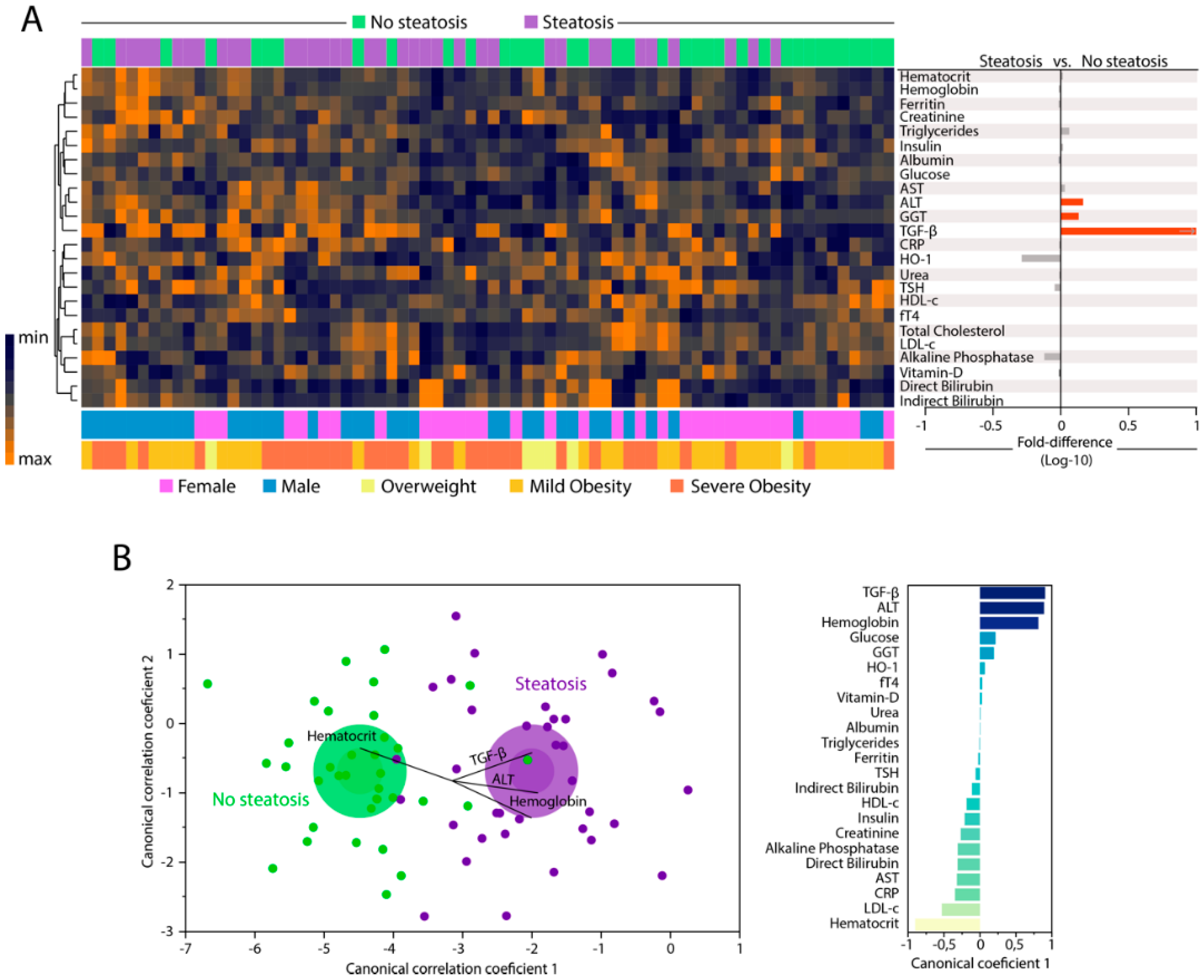Nutrients 12 01650 g001 Nutrients 12 01650 g001