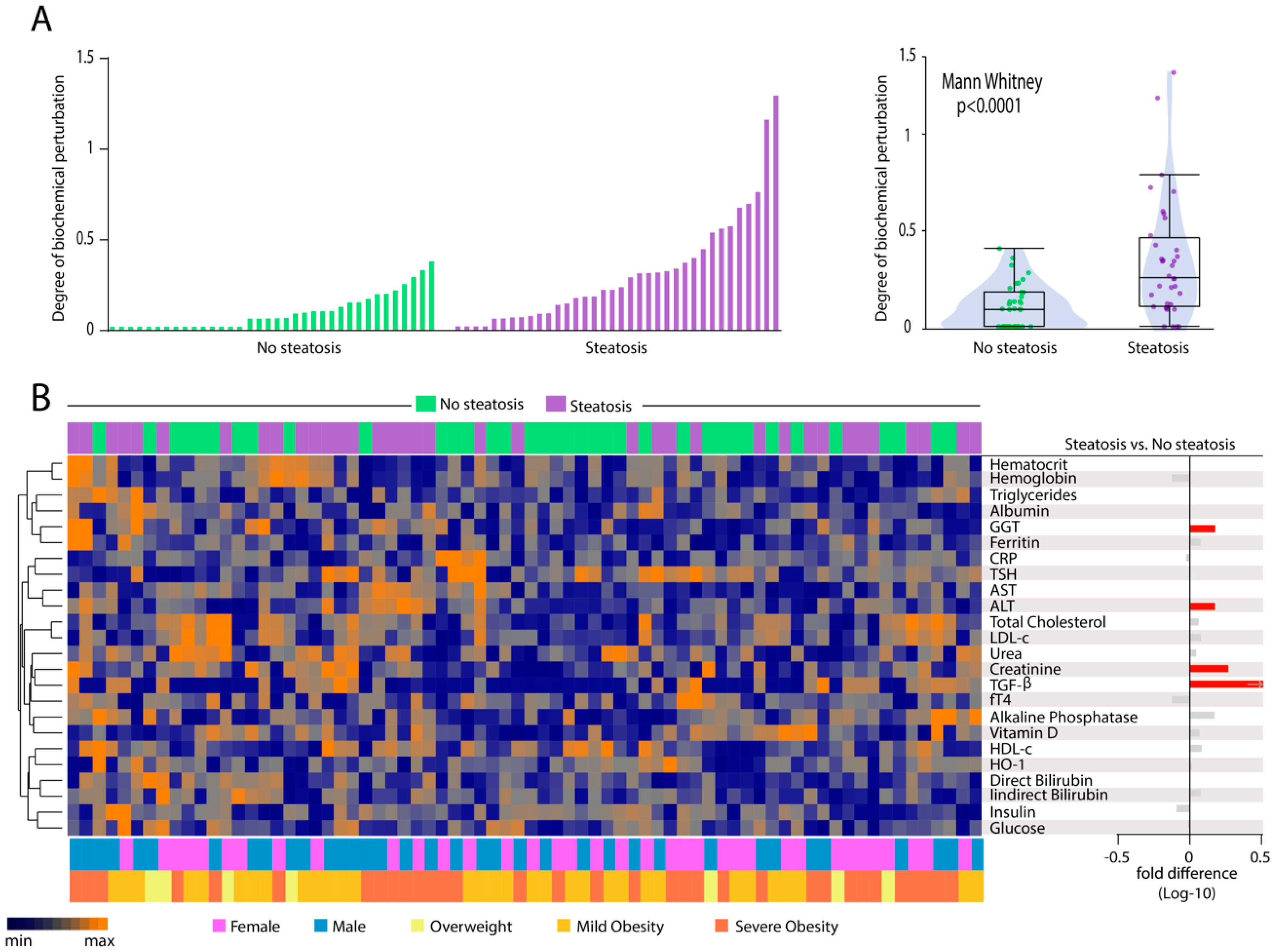 Nutrients 12 01650 g004 Nutrients 12 01650 g004