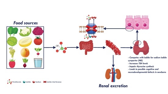 best sources of iodine and iodide
