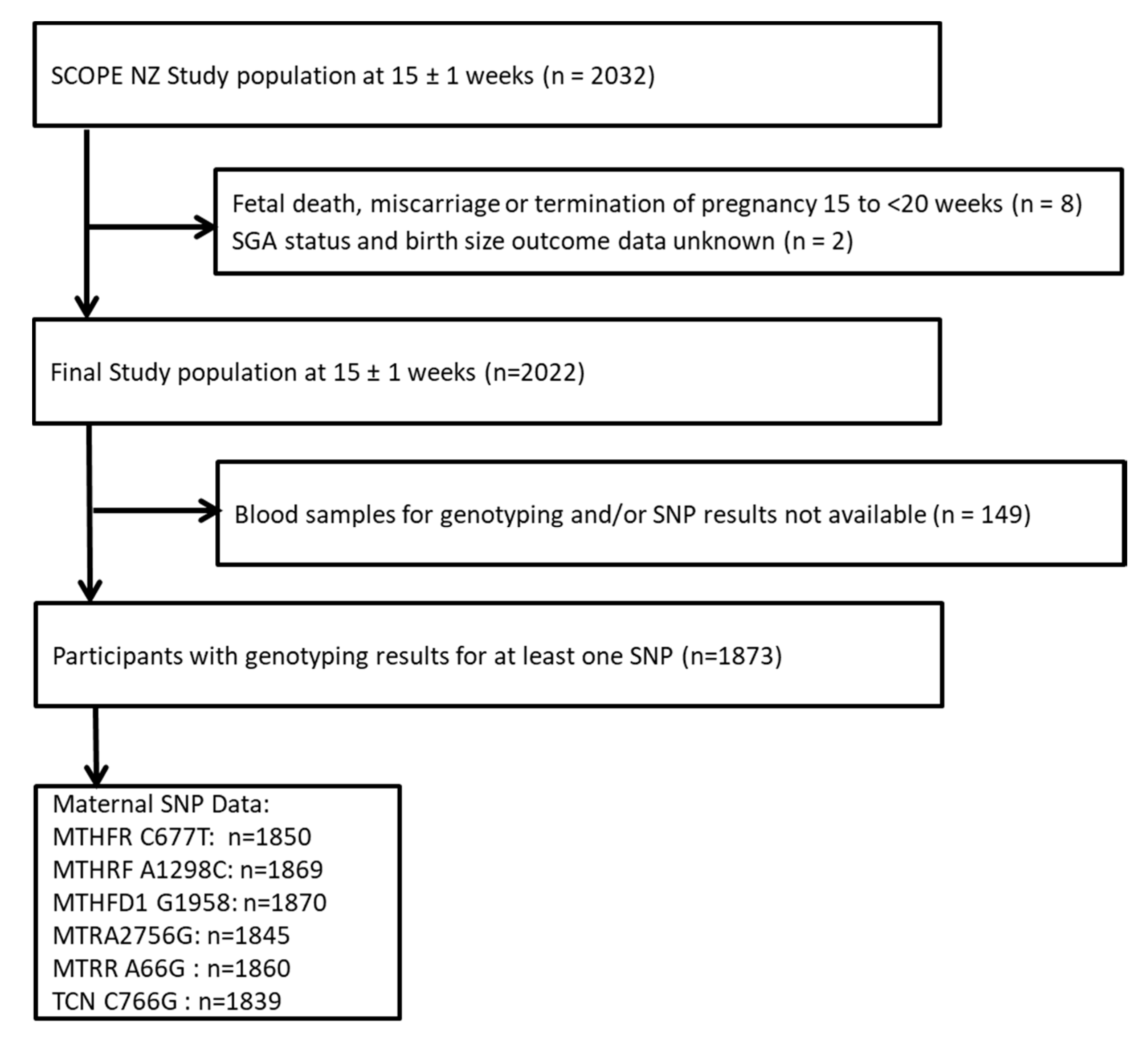 Nutrients 12 01677 g001 Nutrients 12 01677 g001
