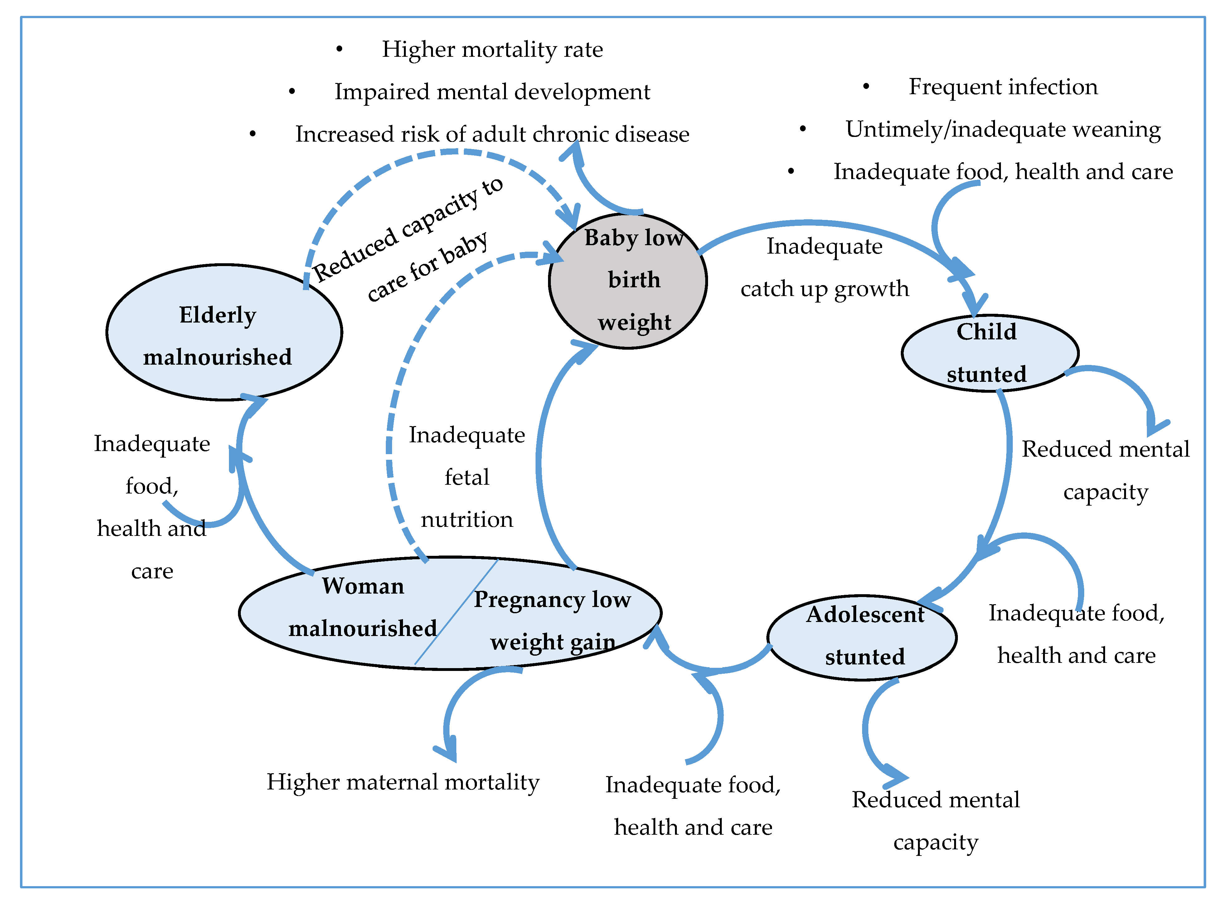 Nutrients 12 01681 g001 Nutrients 12 01681 g001