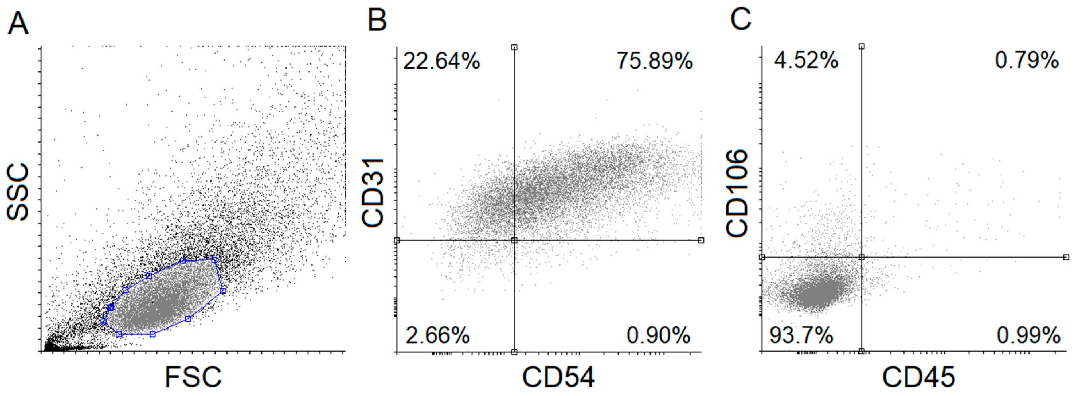 Nutrients 12 01690 g001 Nutrients 12 01690 g001