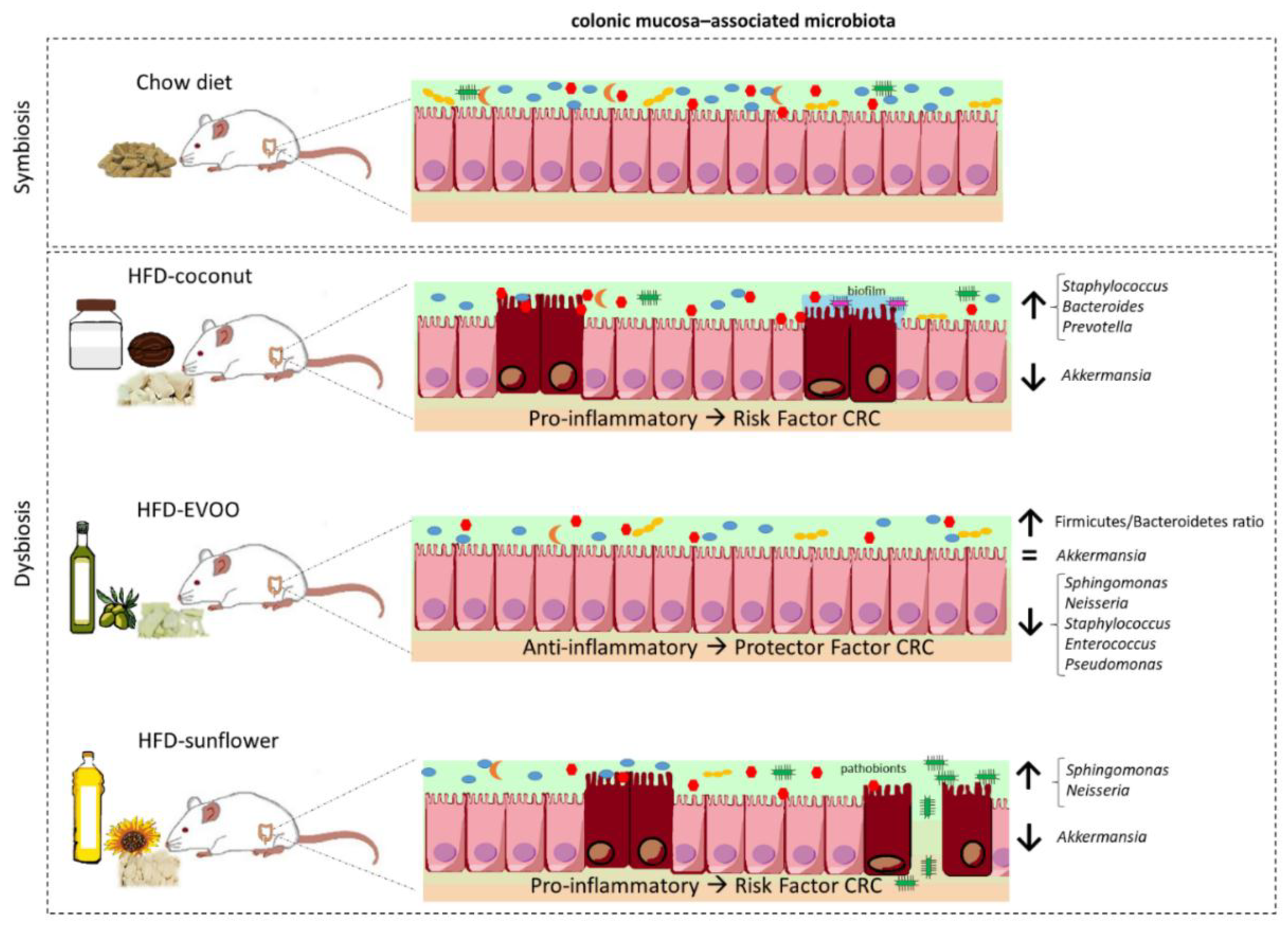 Nutrients 12 01705 g008 Nutrients 12 01705 g008