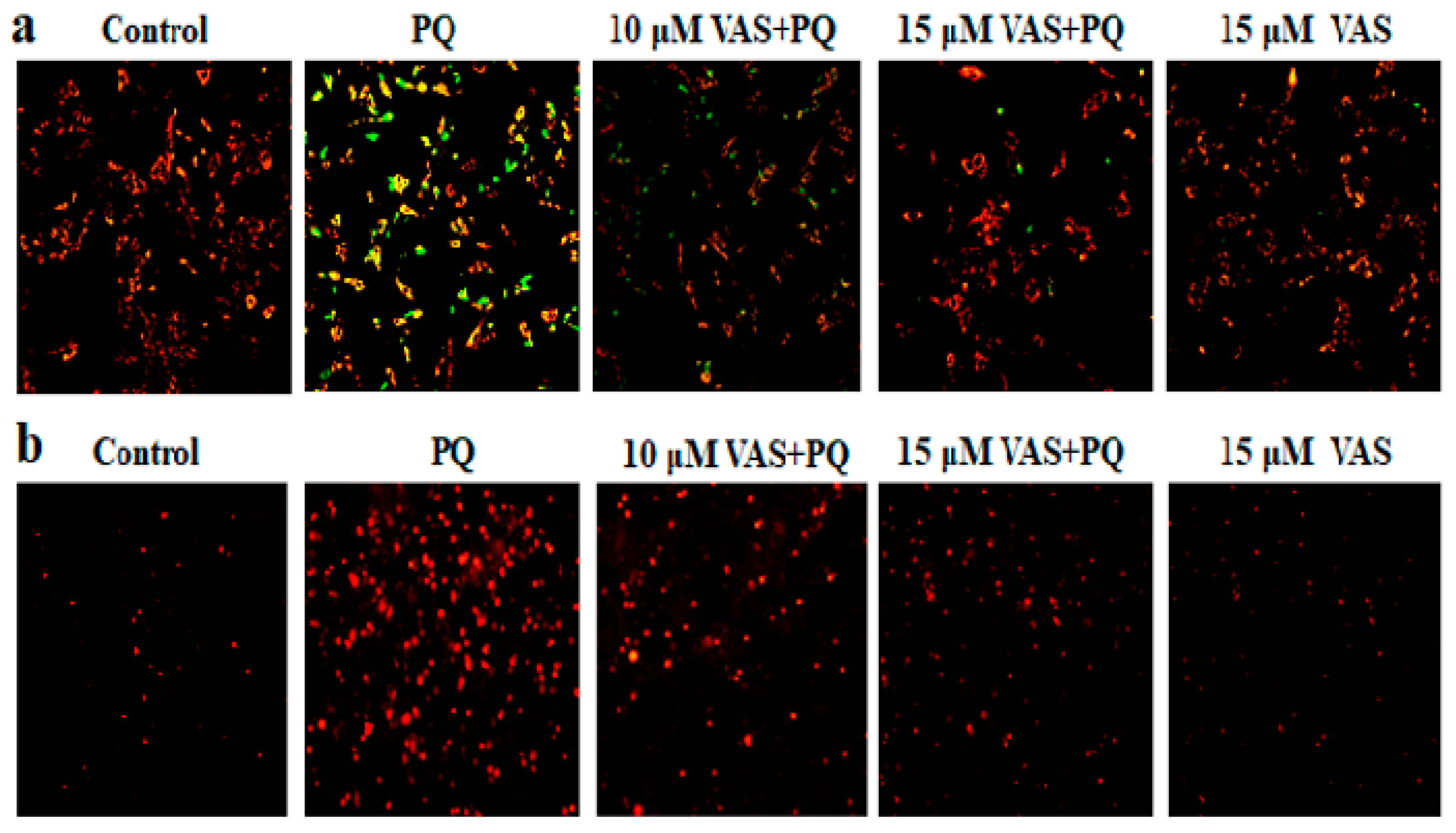 Nutrients 12 01707 g002