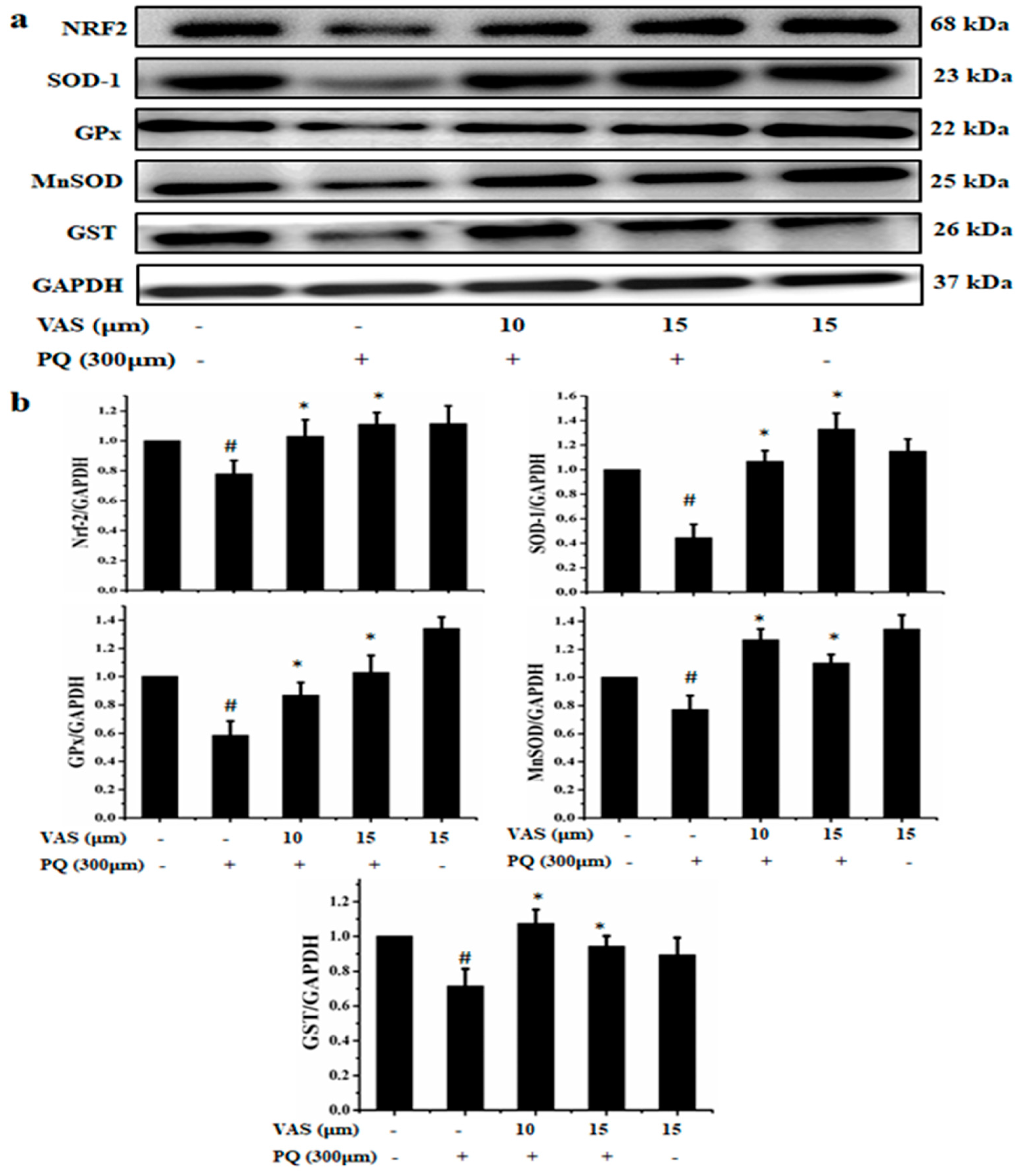 Nutrients 12 01707 g003