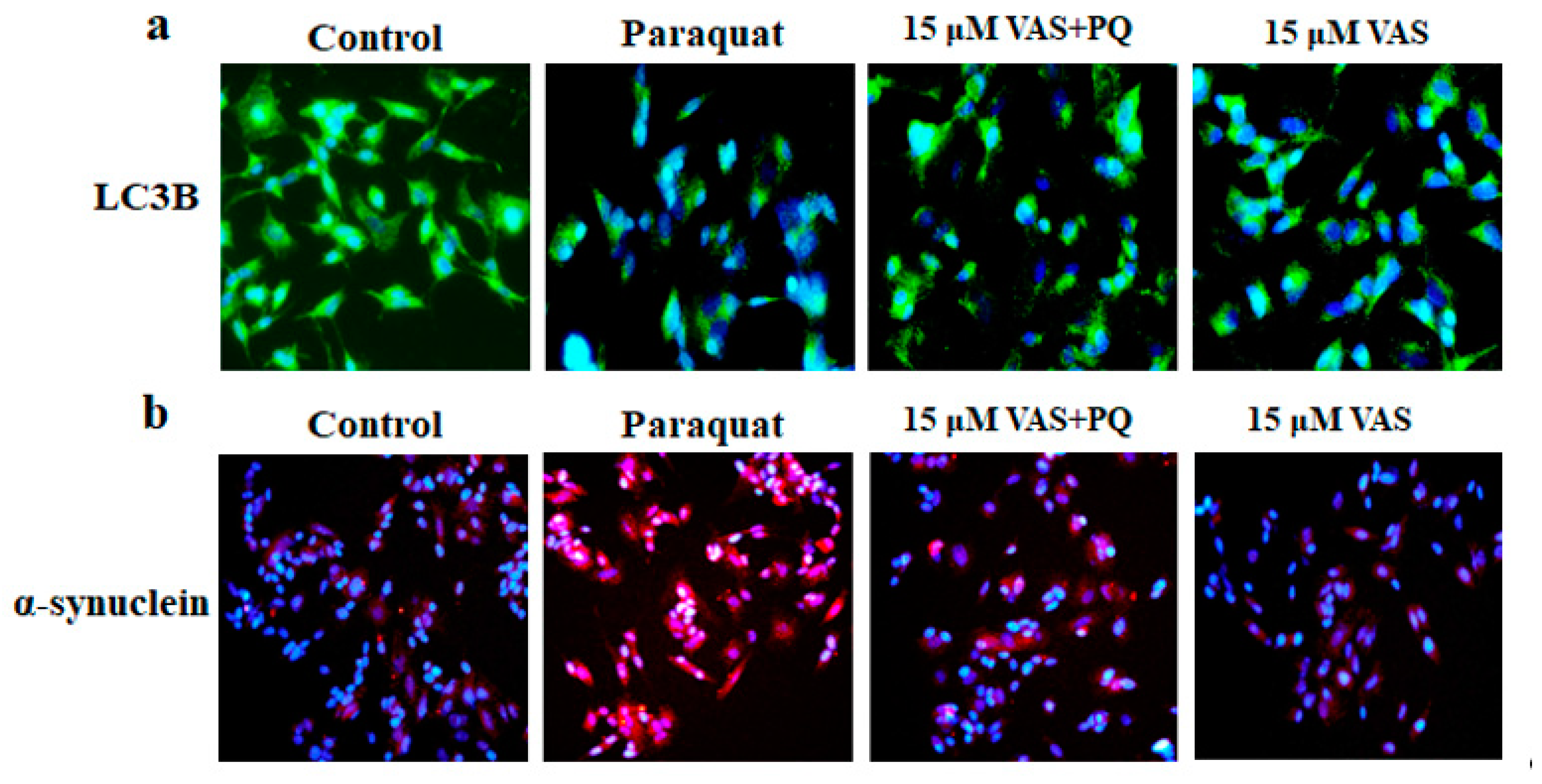 Nutrients 12 01707 g004