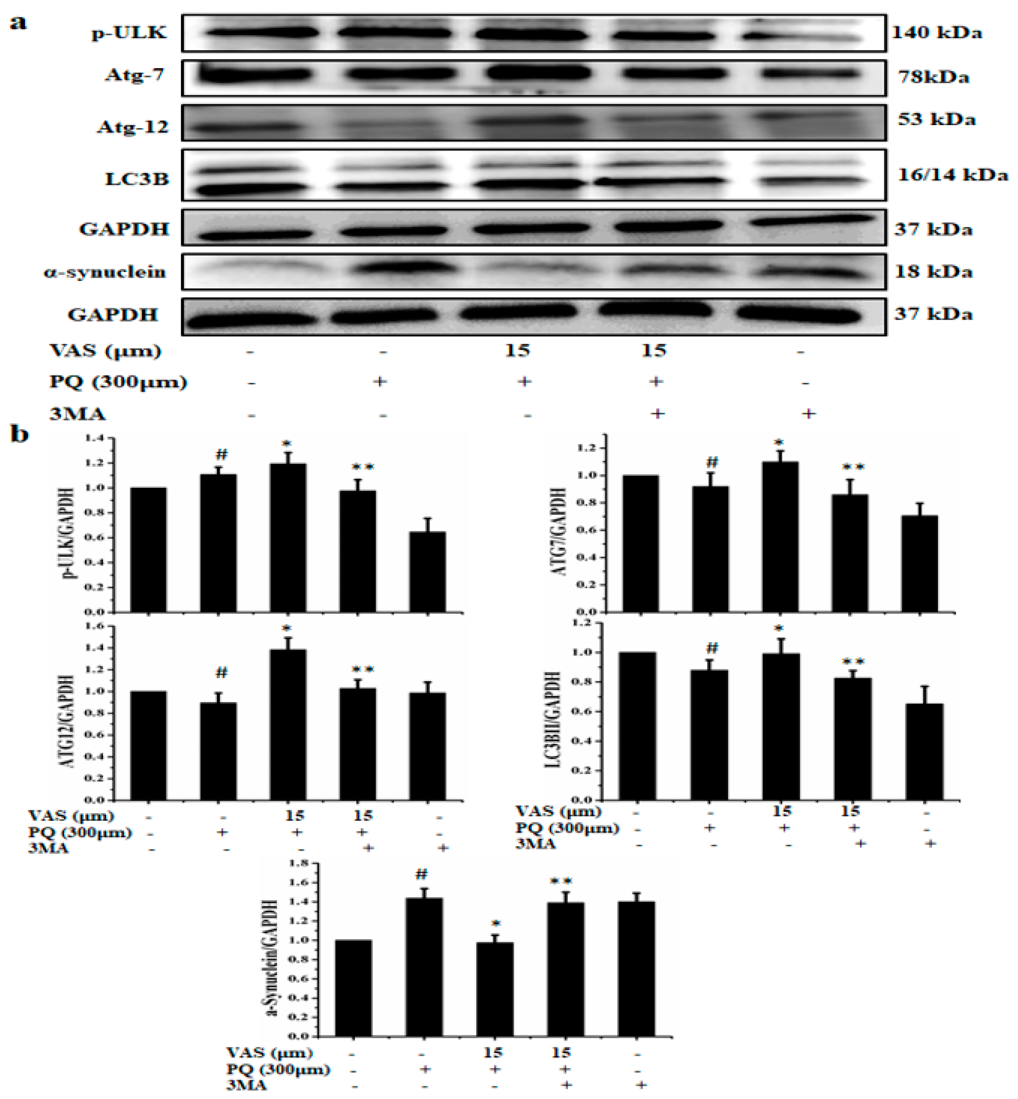 Nutrients 12 01707 g006