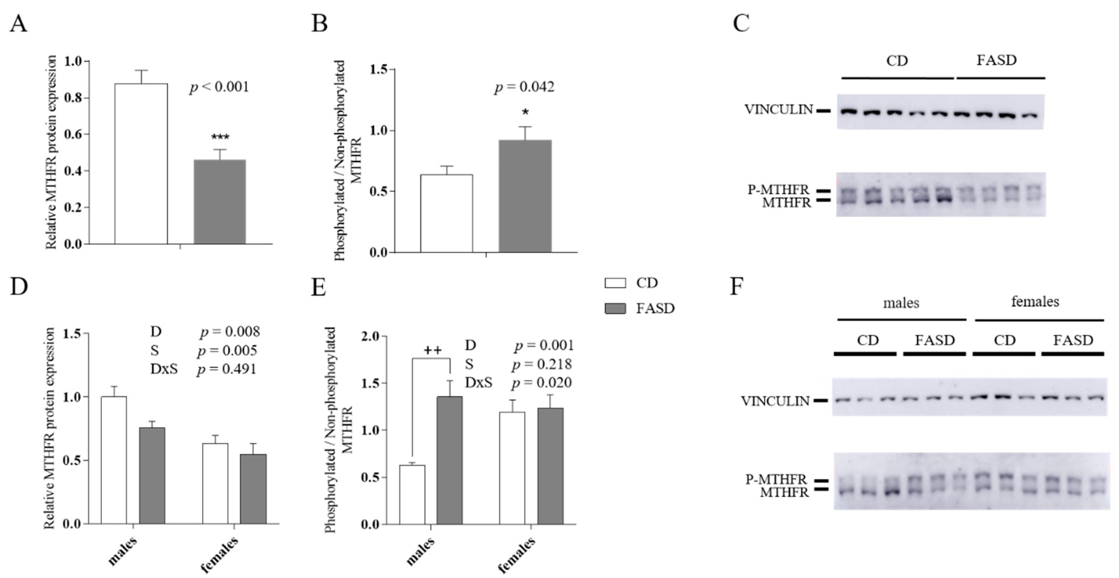 Nutrients 12 01716 g003 Nutrients 12 01716 g003