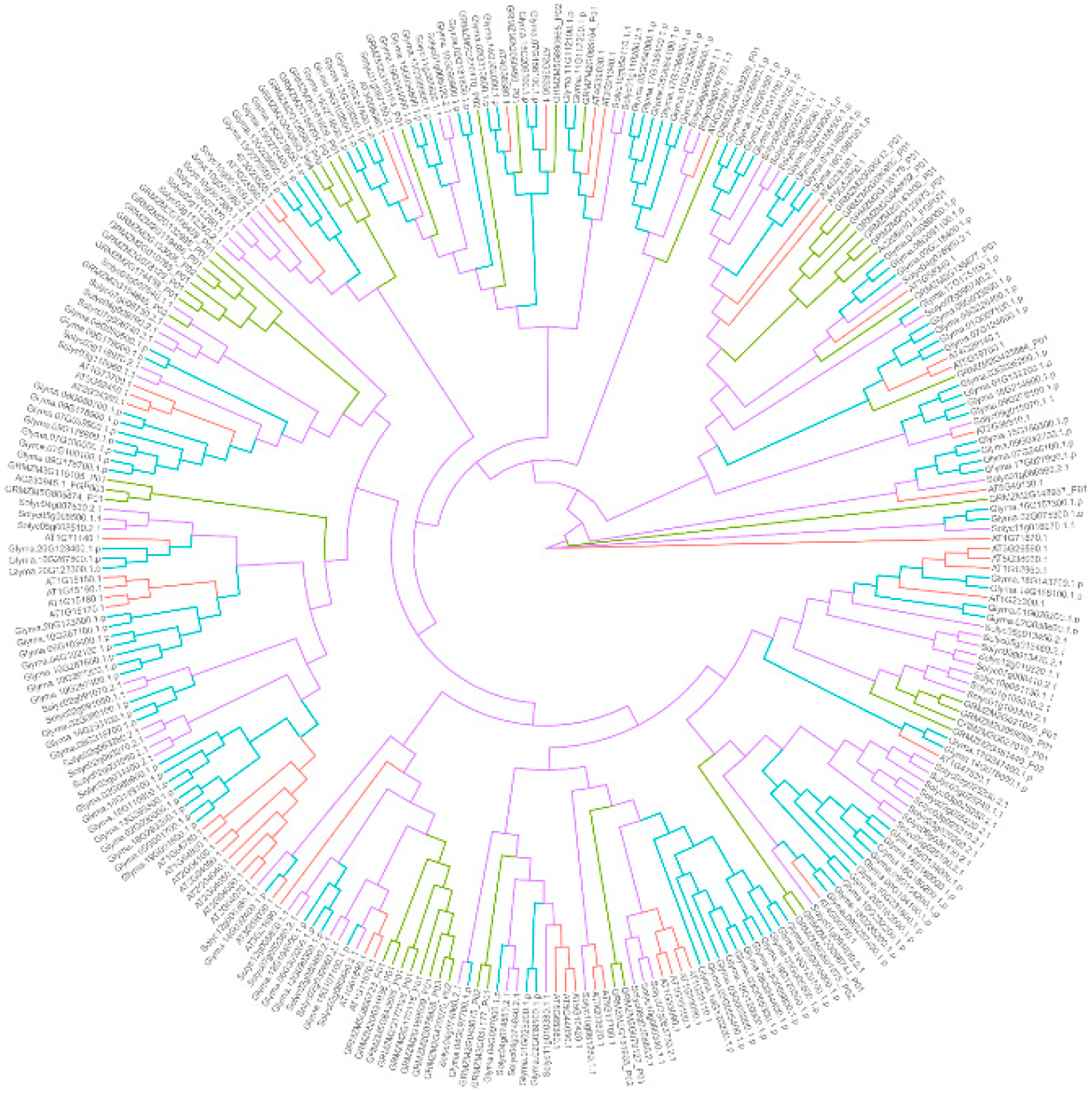 Nutrients 12 01717 g004 Nutrients 12 01717 g004