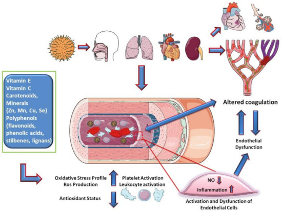 その他 A iming 4657944 Pressure Sensor for Hitachi ZX250-3 ZX270-3 ZX240-3