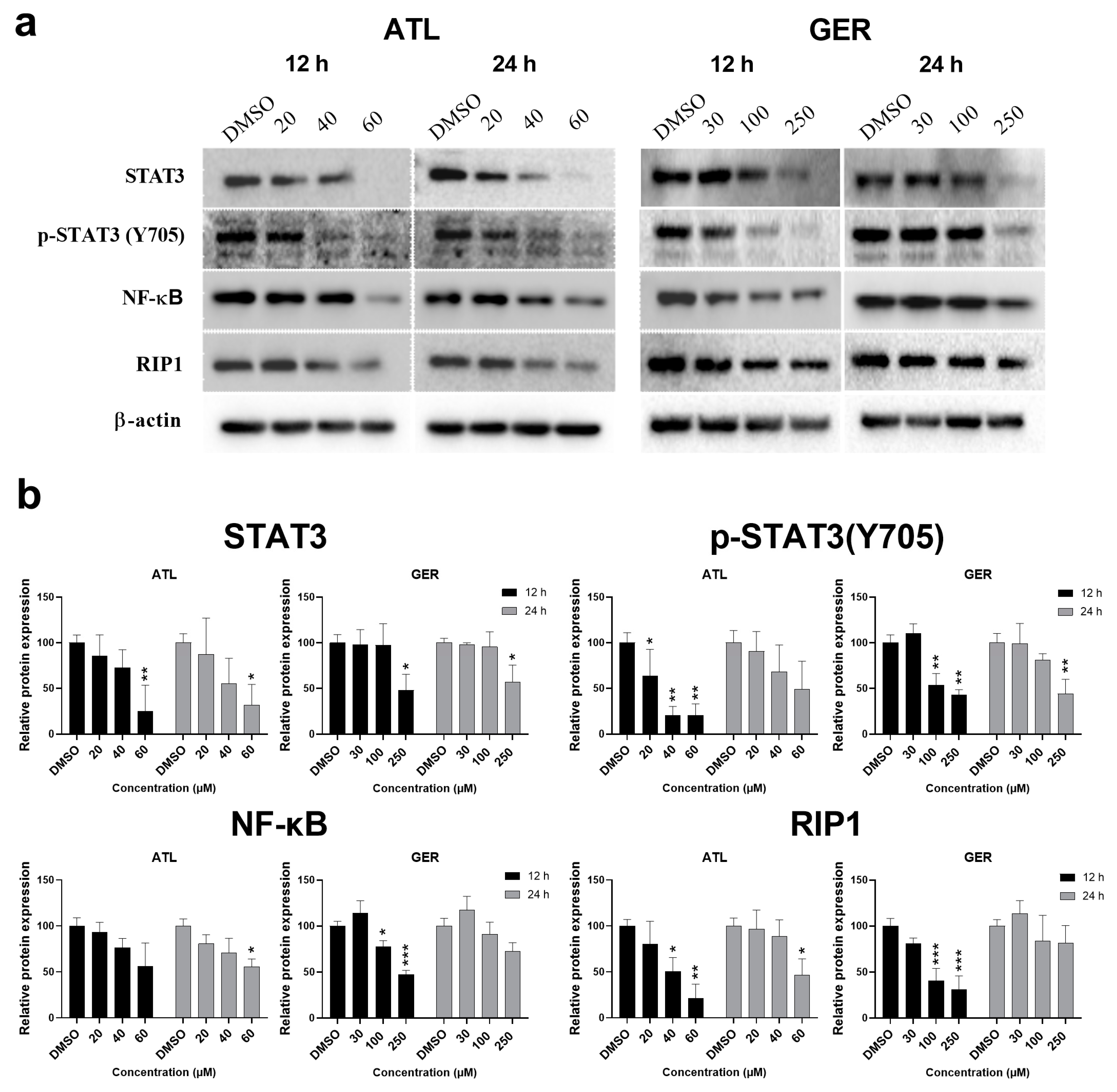 Nutrients 12 01720 g002
