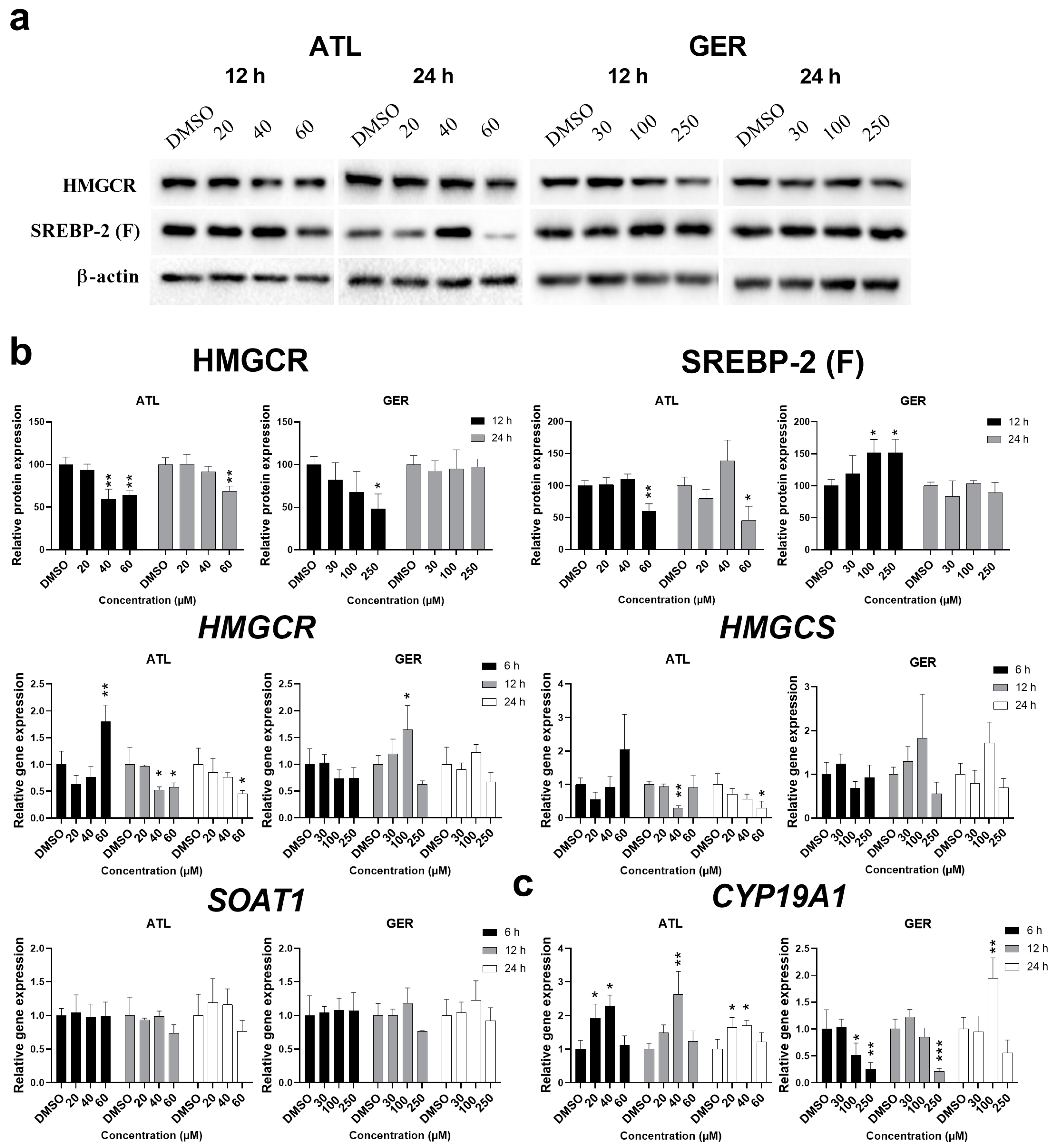 Nutrients 12 01720 g004