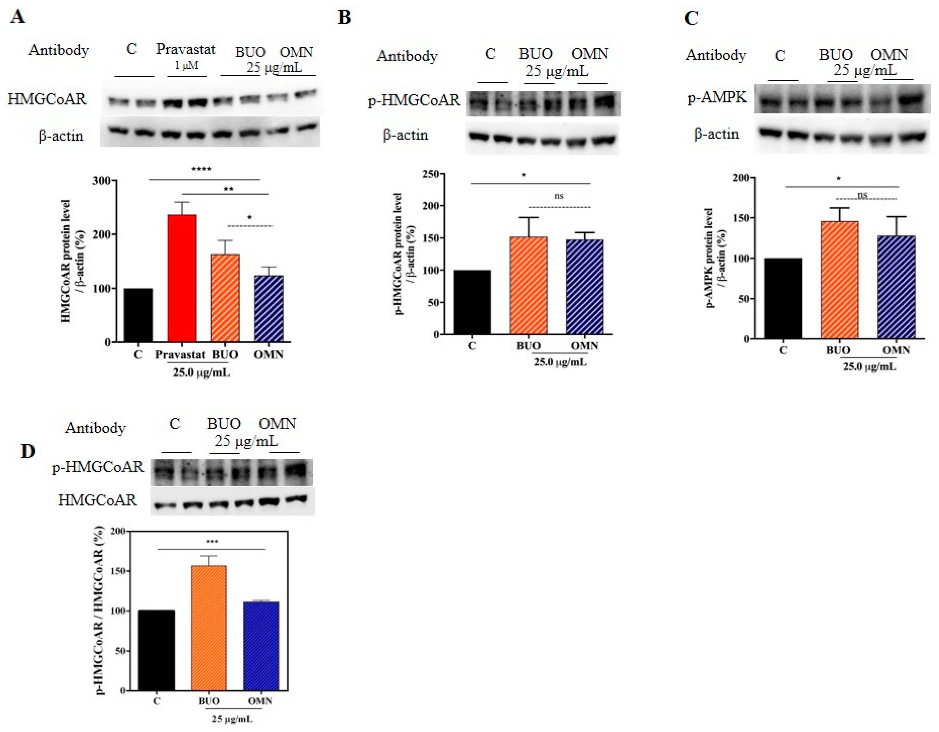 Nutrients 12 01723 g004 Nutrients 12 01723 g004