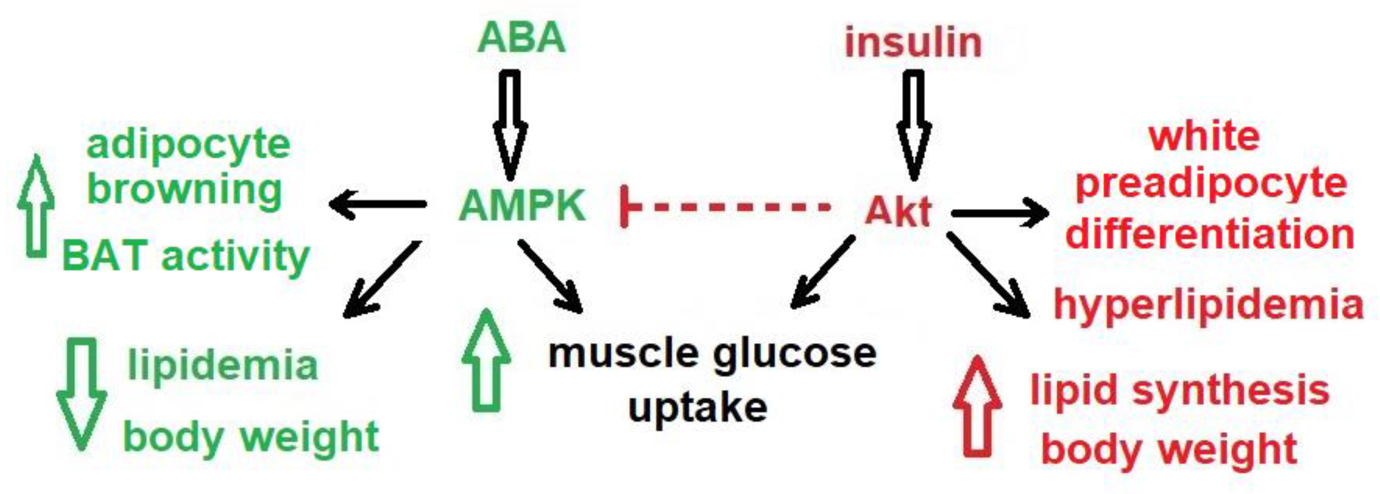 Nutrients 12 01724 g003 Nutrients 12 01724 g003