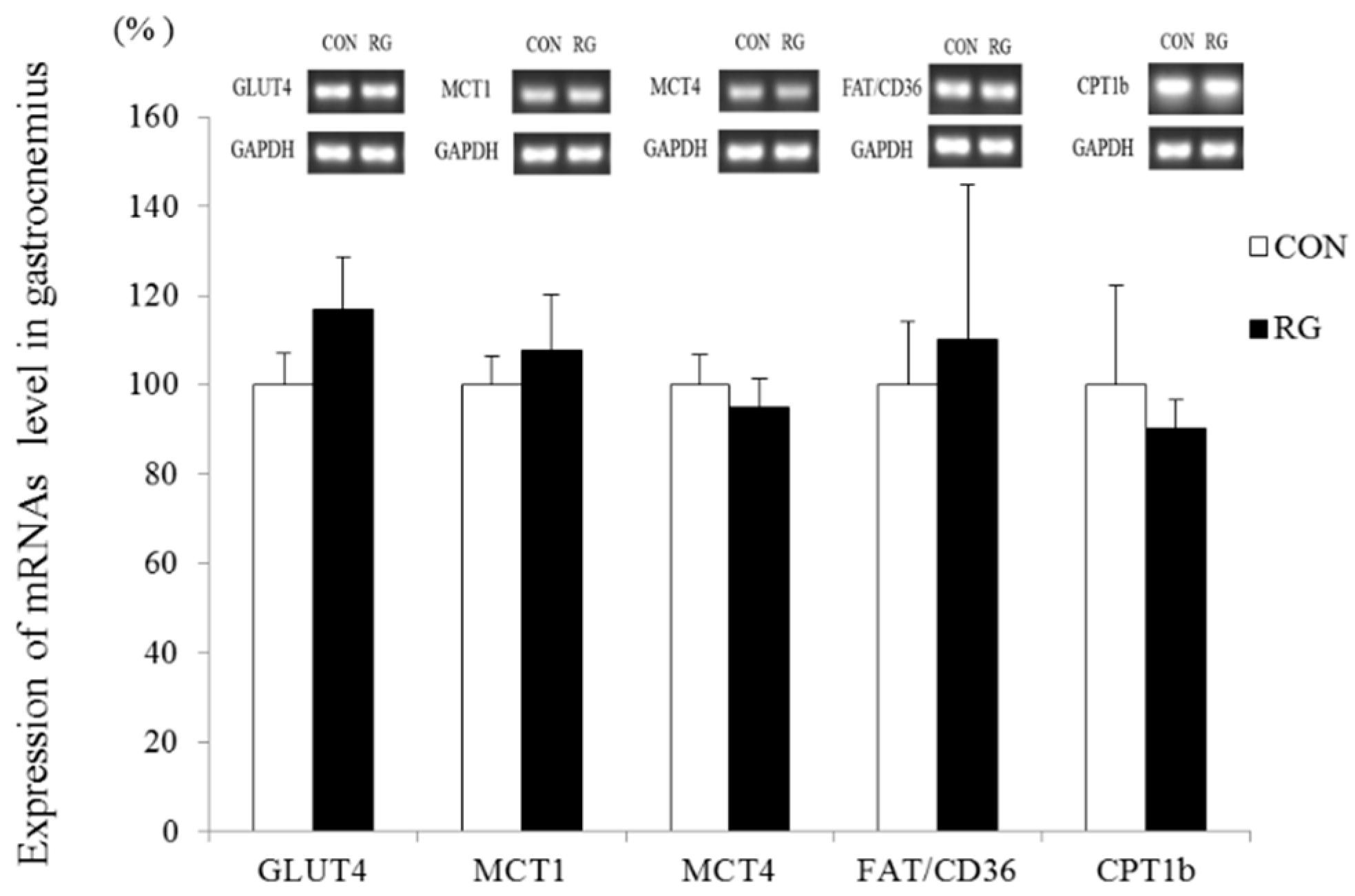 Nutrients 12 01726 g003 Nutrients 12 01726 g003