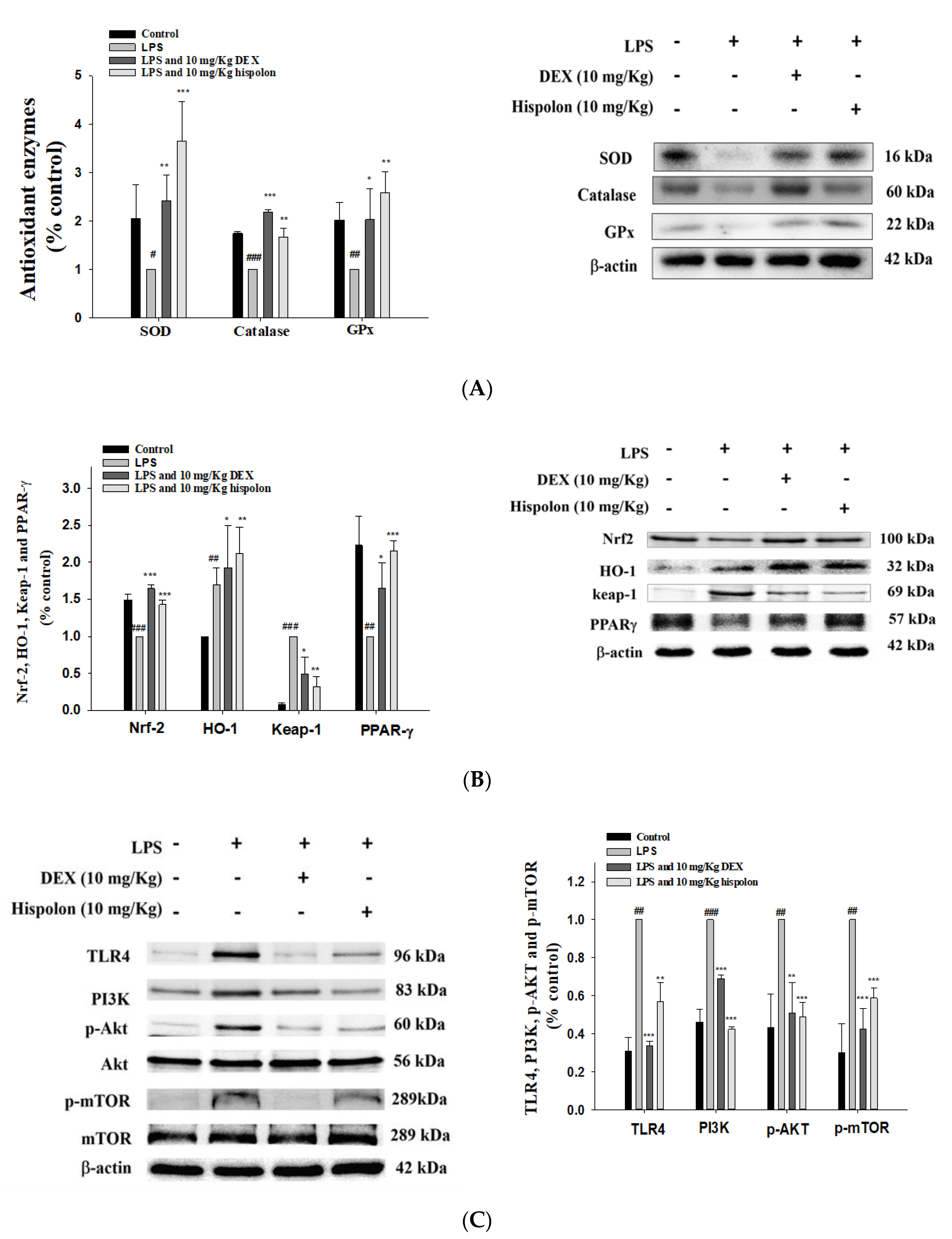 Nutrients 12 01742 g005