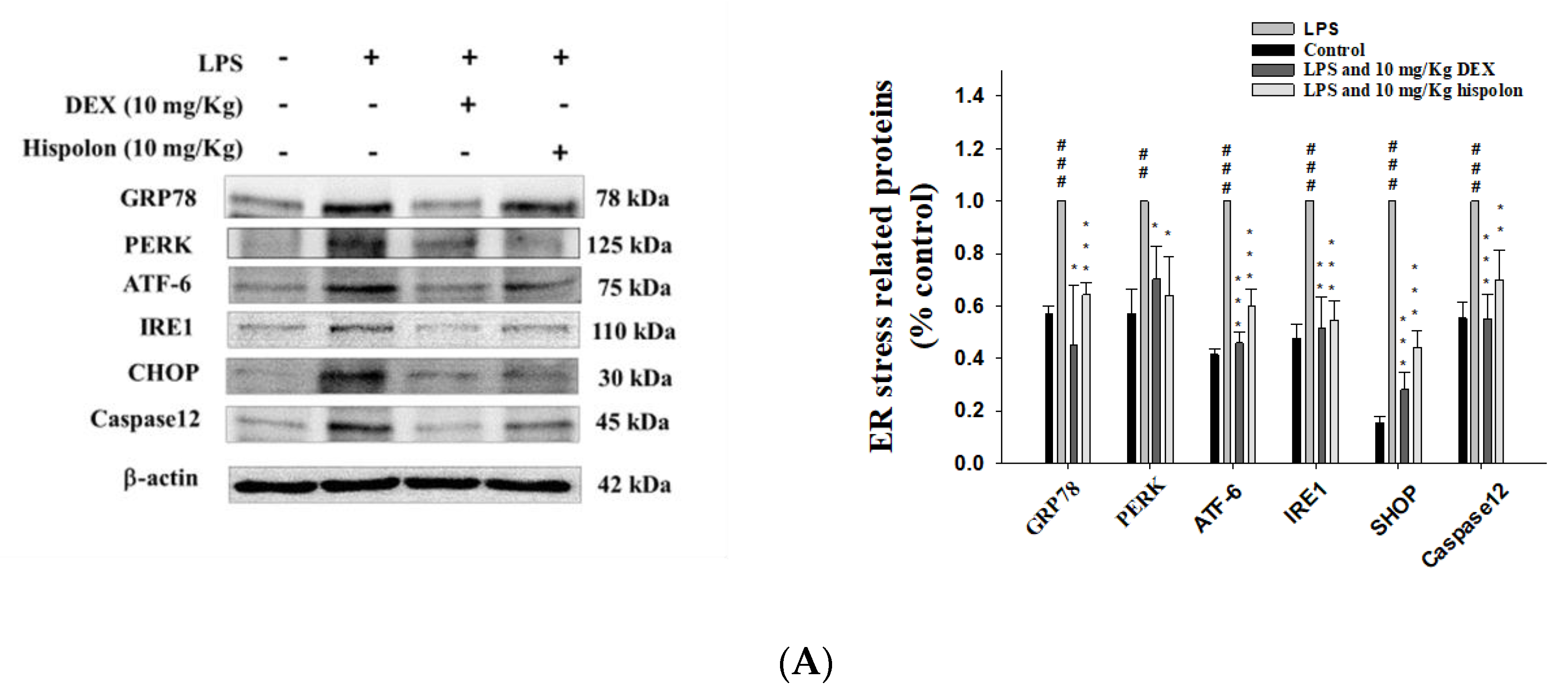 Nutrients 12 01742 g006a