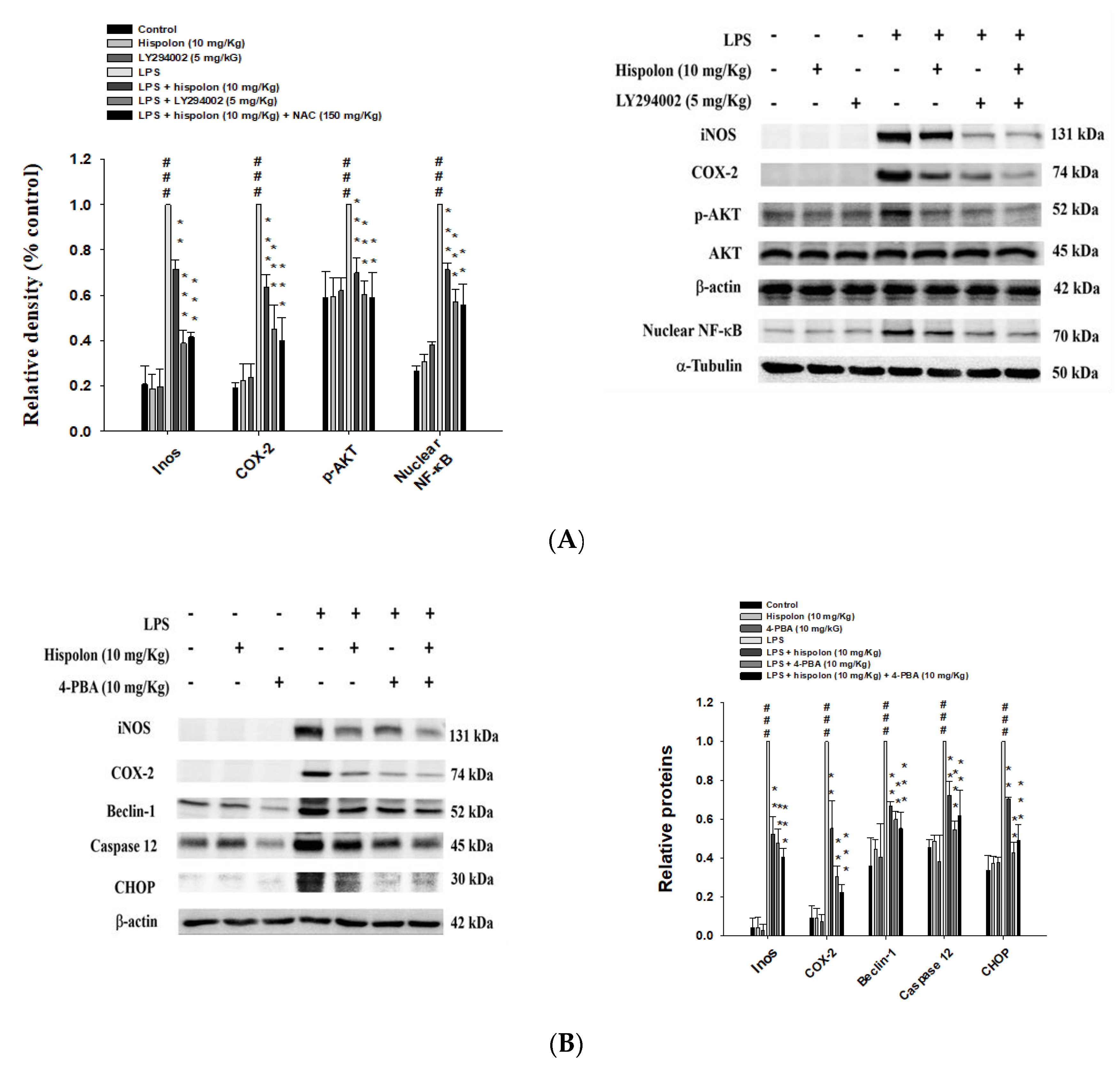 Nutrients 12 01742 g008