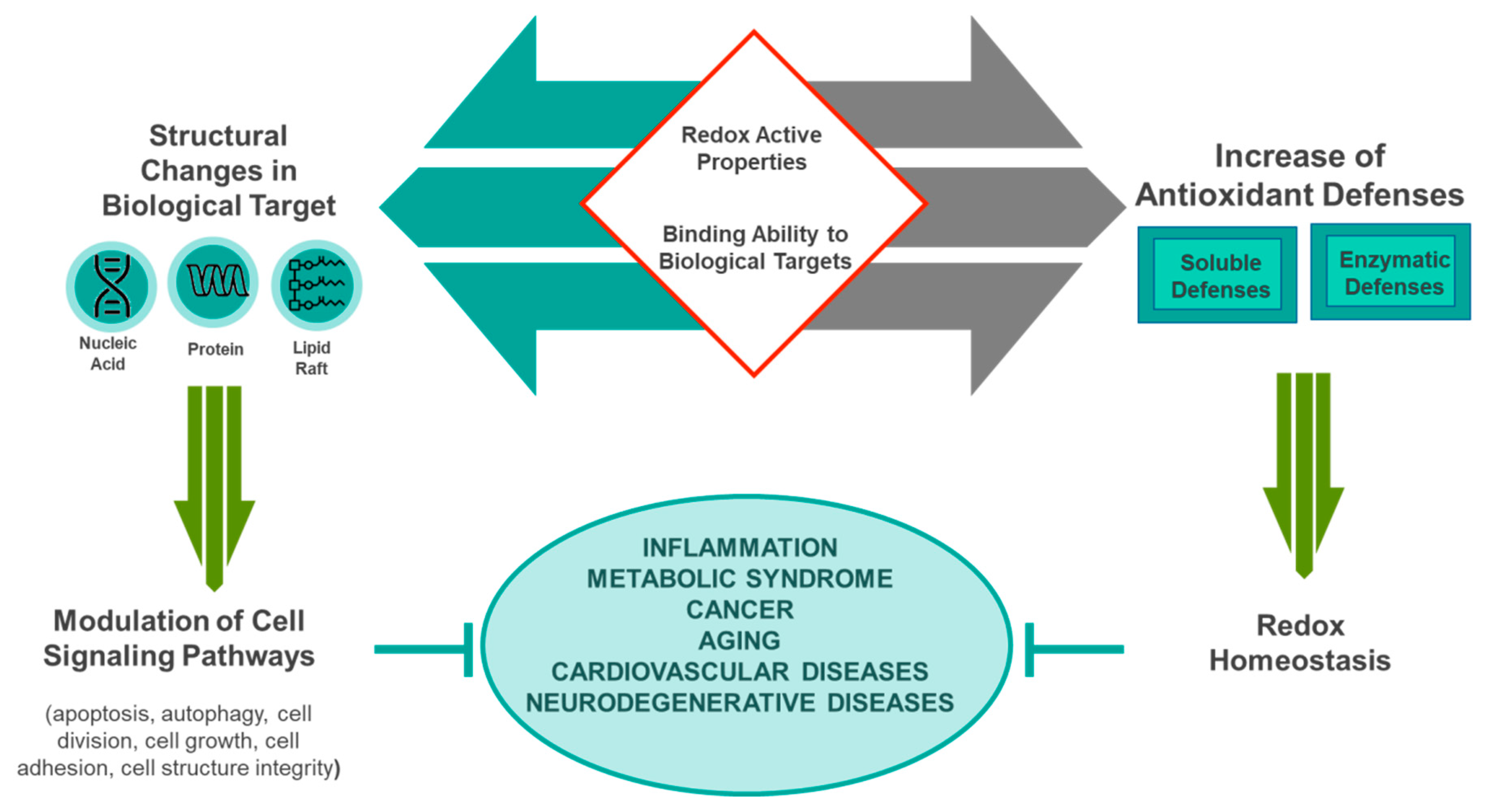 Nutrients 12 01748 g001 Nutrients 12 01748 g001