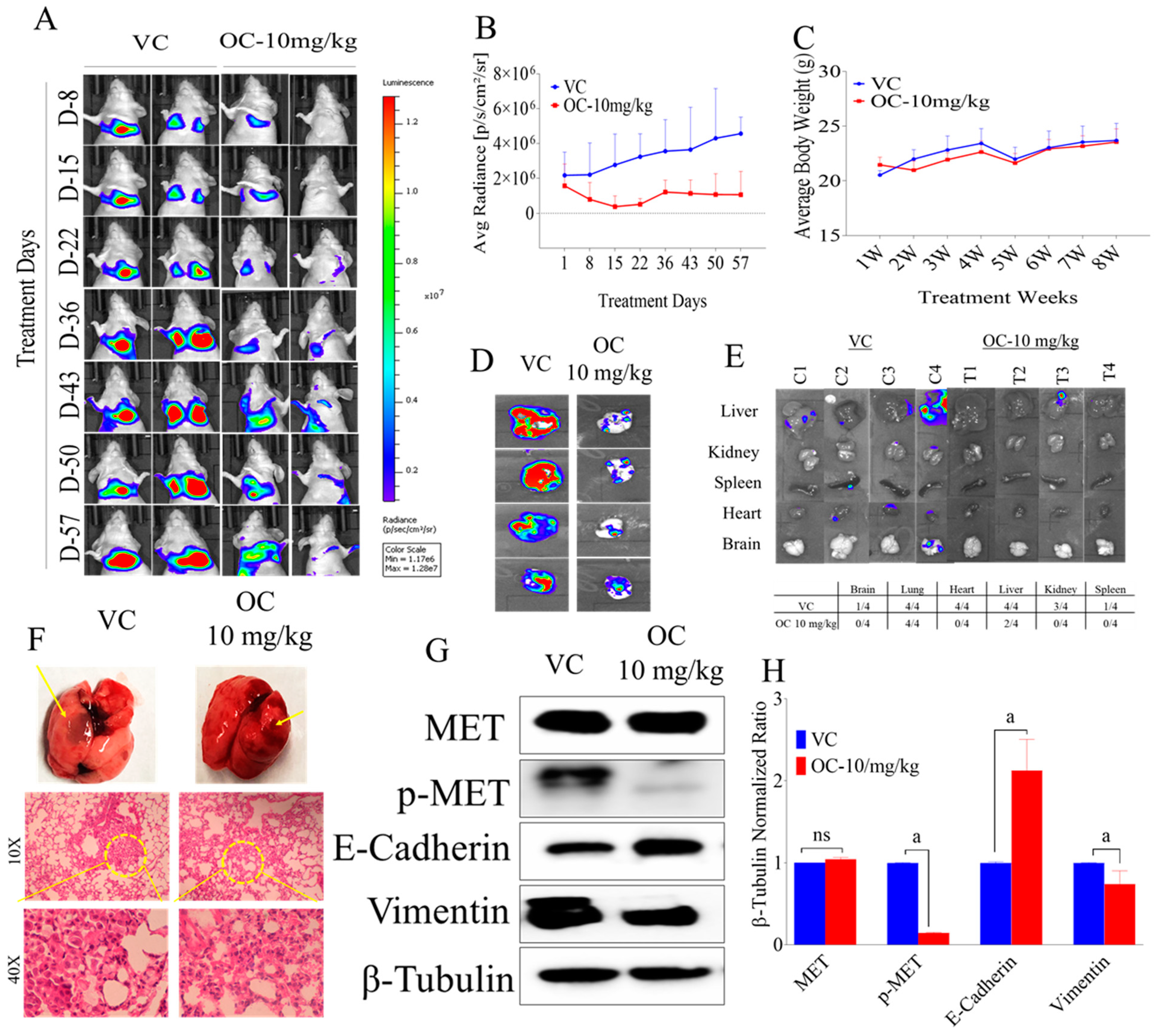 Nutrients 12 01749 g006