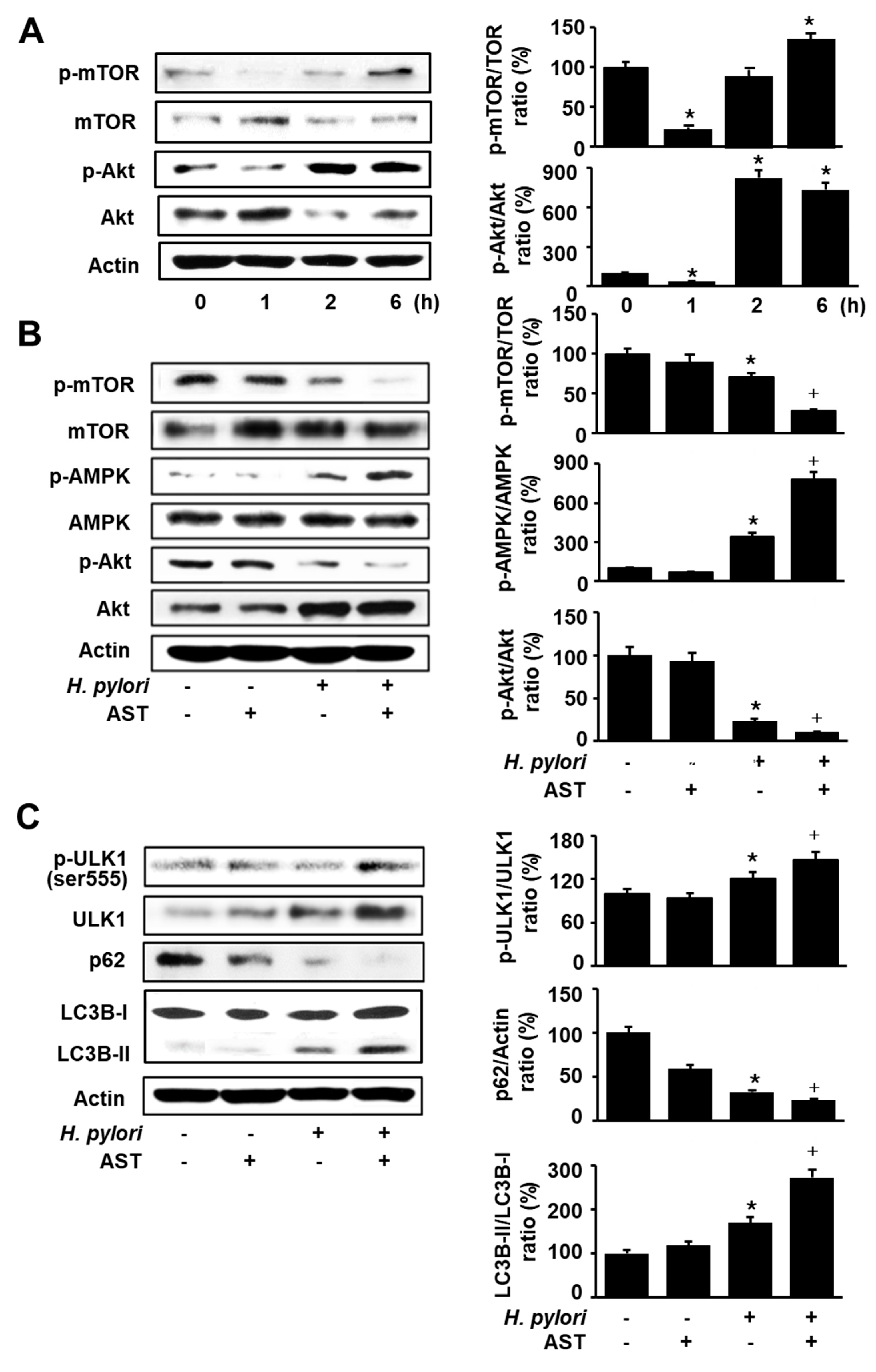 Nutrients 12 01750 g003 Nutrients 12 01750 g003