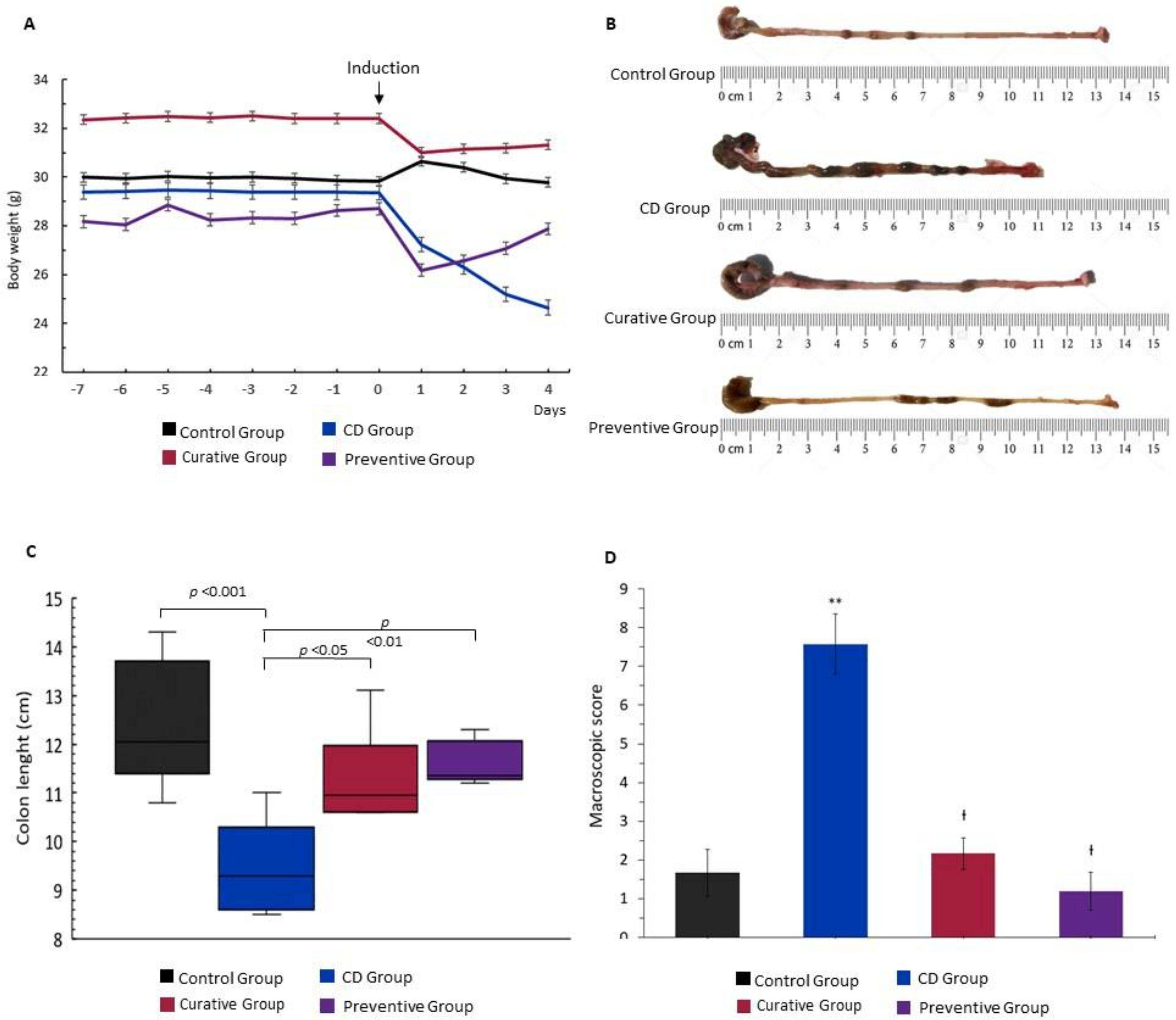 Nutrients 12 01752 g002