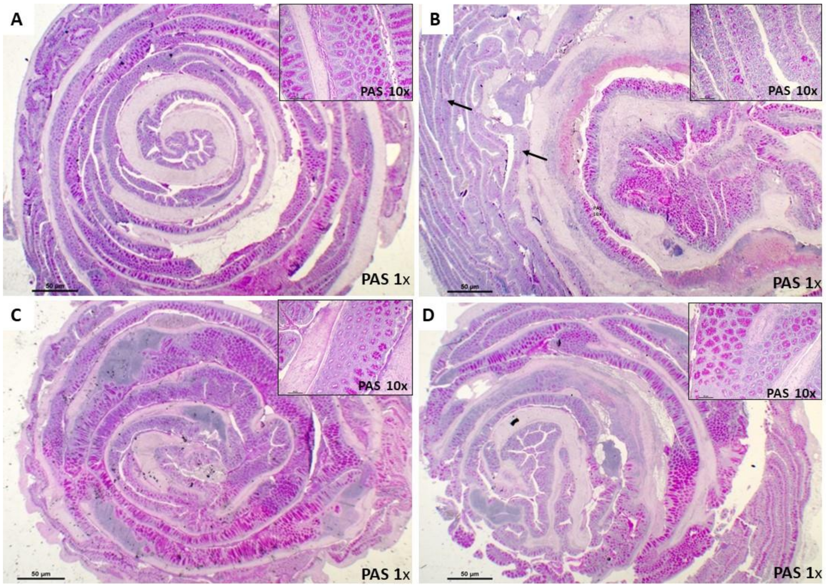 Nutrients 12 01752 g004