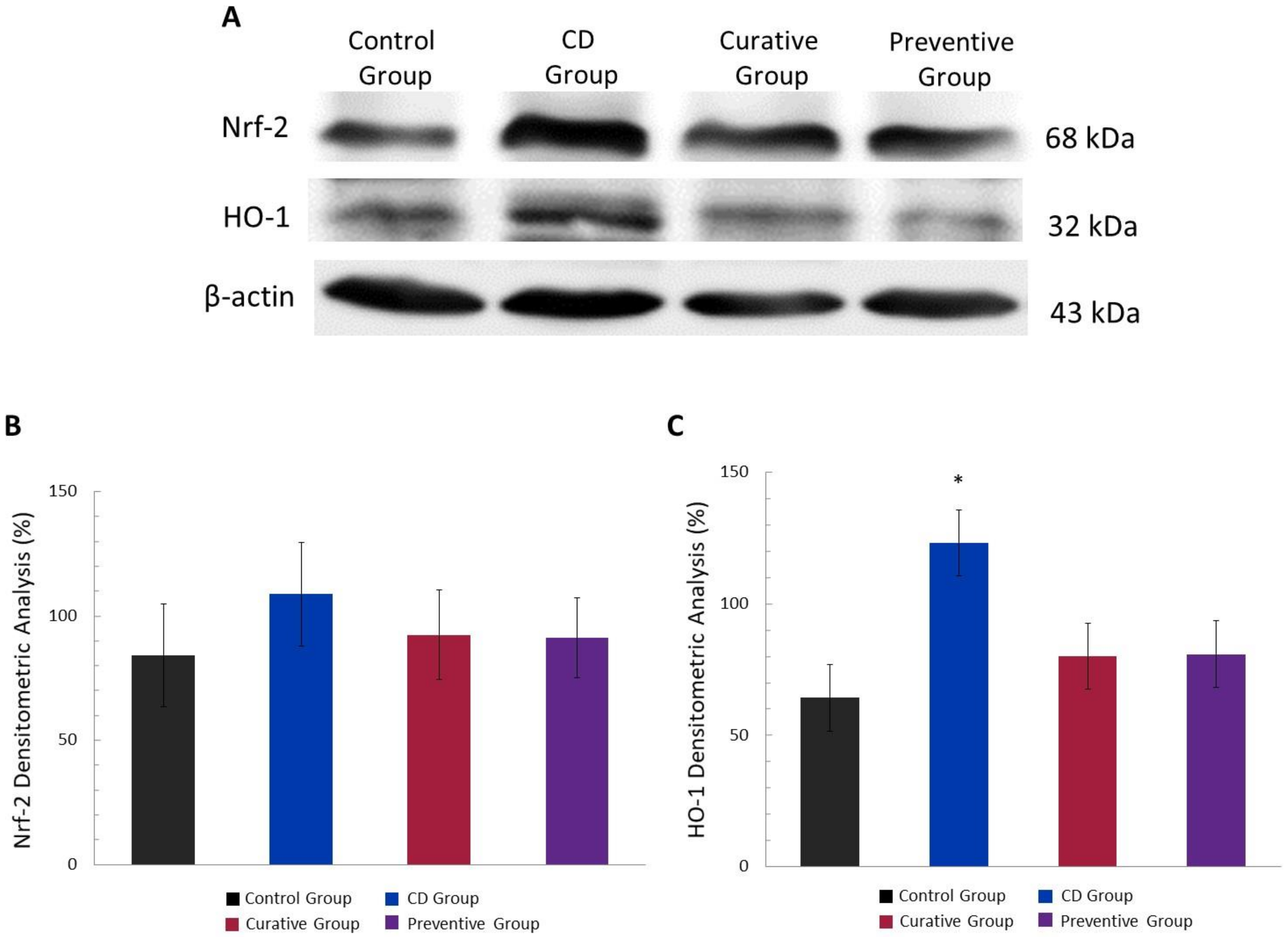 Nutrients 12 01752 g007