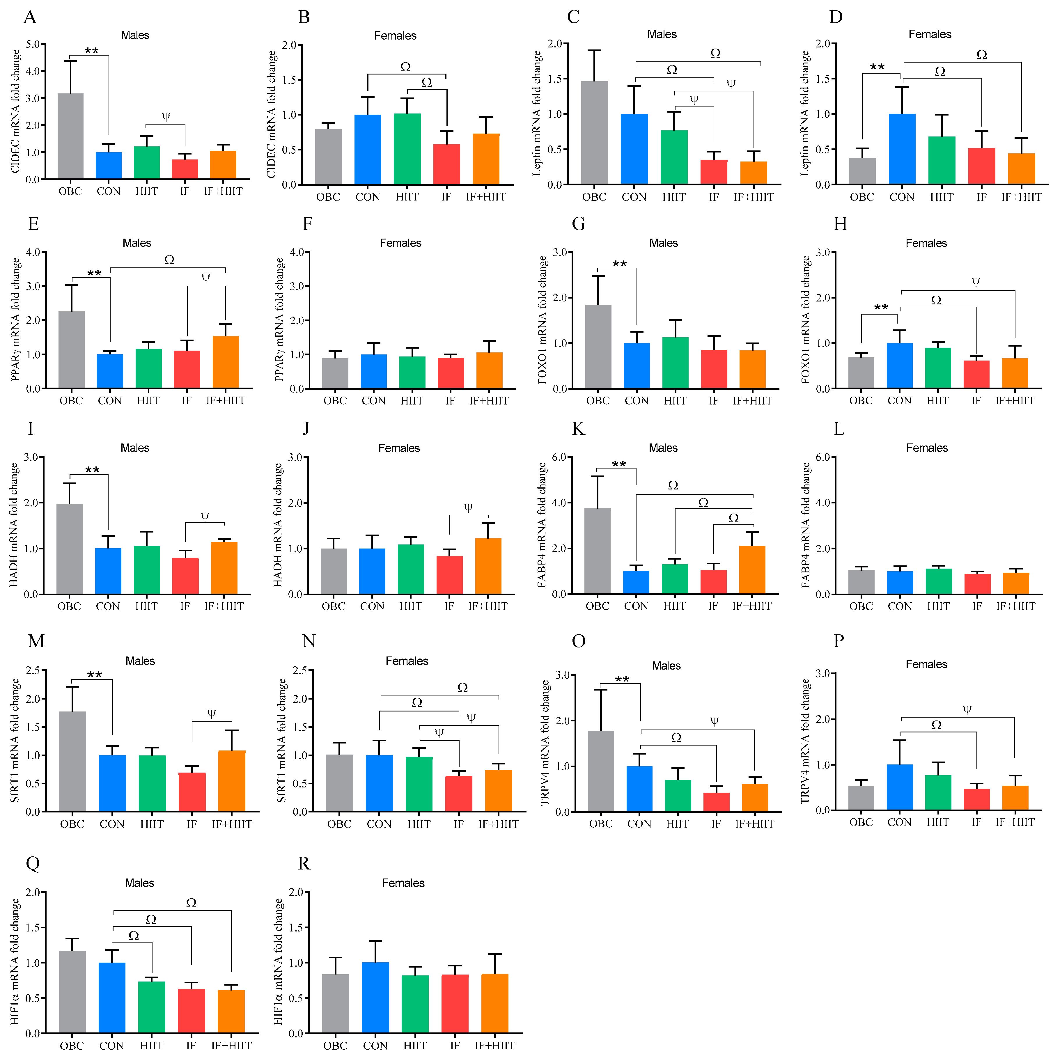 Nutrients 12 01764 g003 Nutrients 12 01764 g003