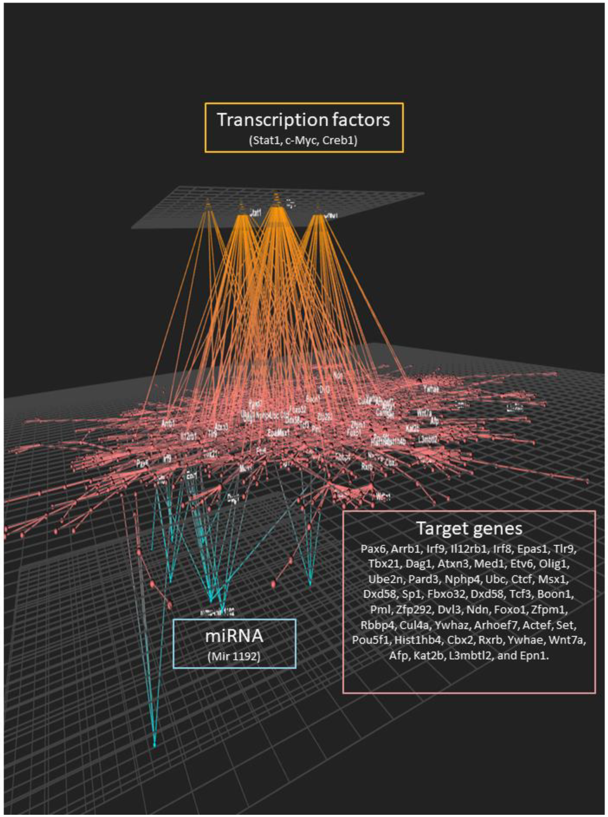 Nutrients 12 01771 g006 Nutrients 12 01771 g006