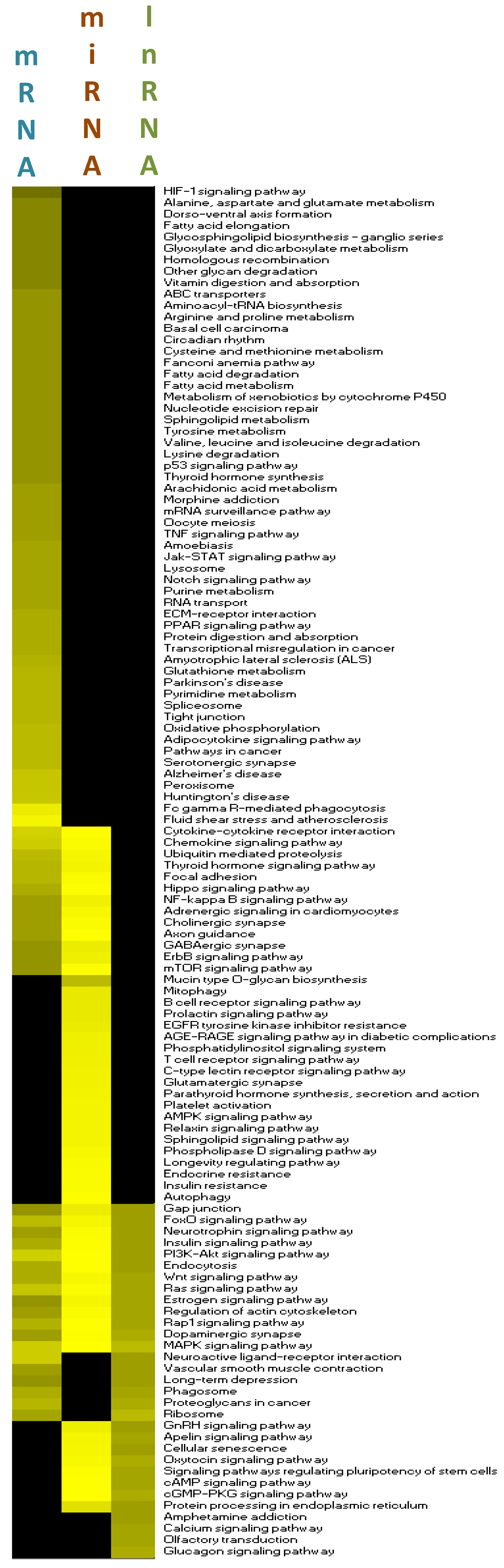 Nutrients 12 01771 g007 Nutrients 12 01771 g007