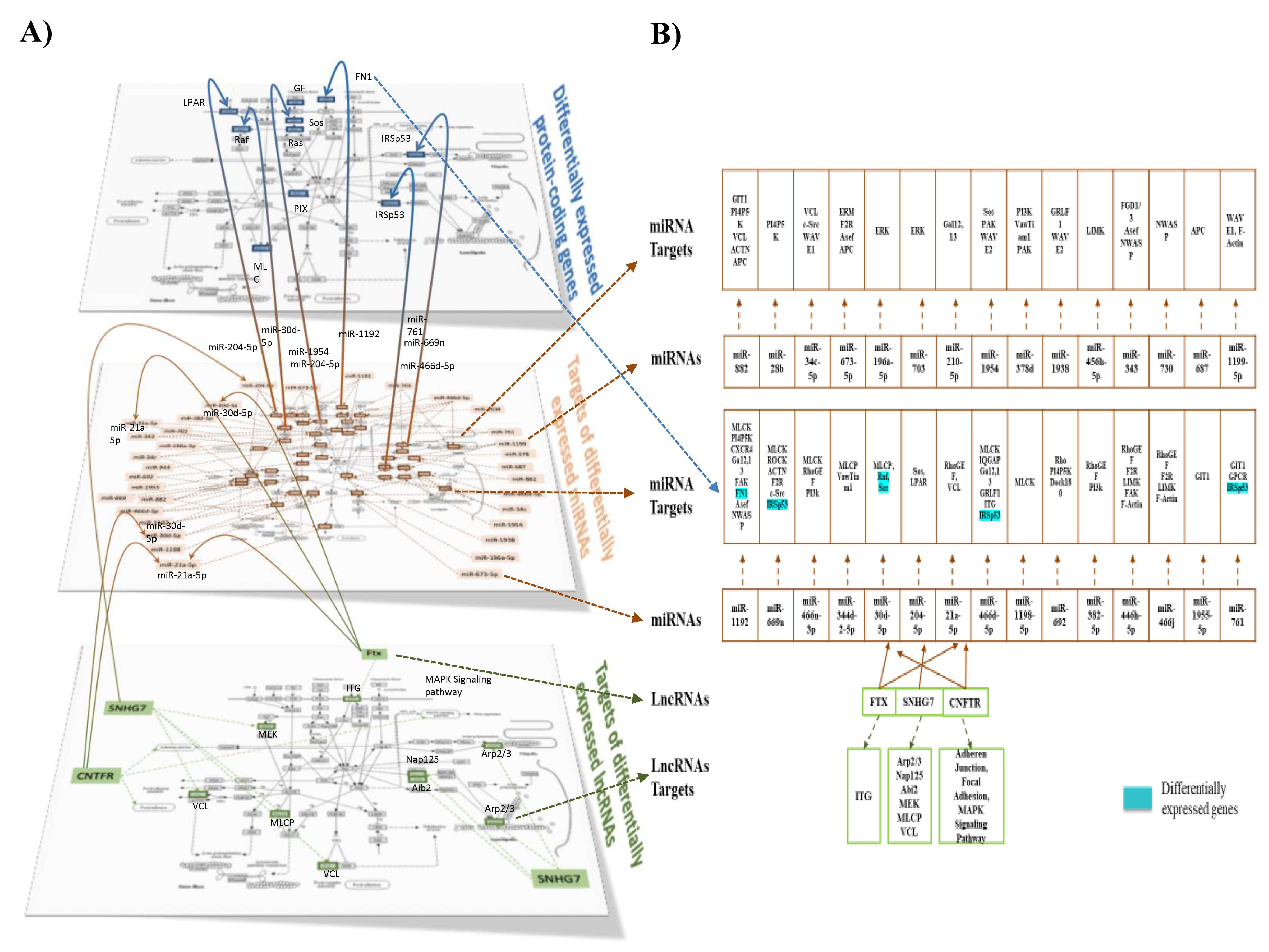 Nutrients 12 01771 g008 Nutrients 12 01771 g008