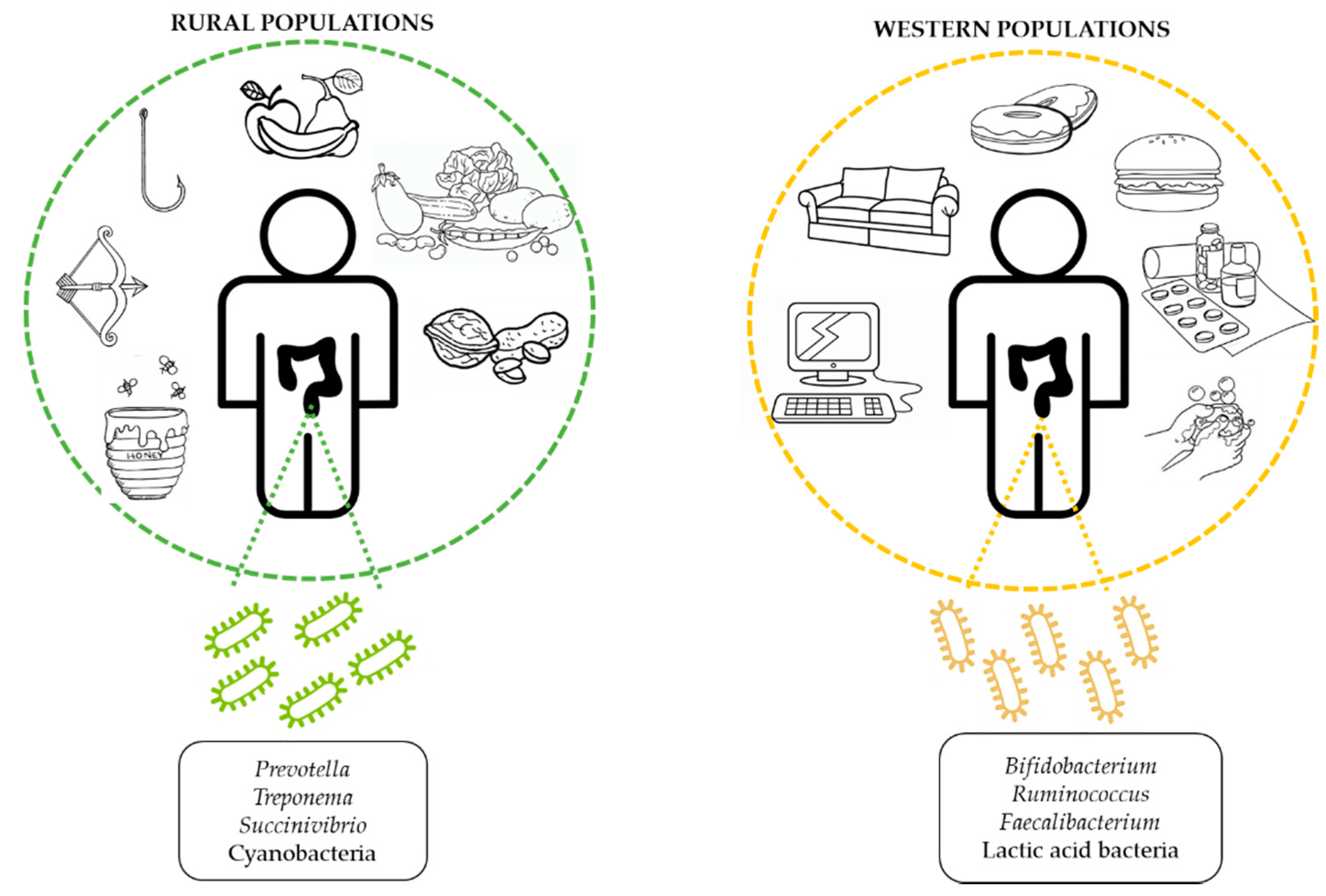 Nutrients Free Full Text Microbiota And Lifestyle A Special Focus On Diet Html