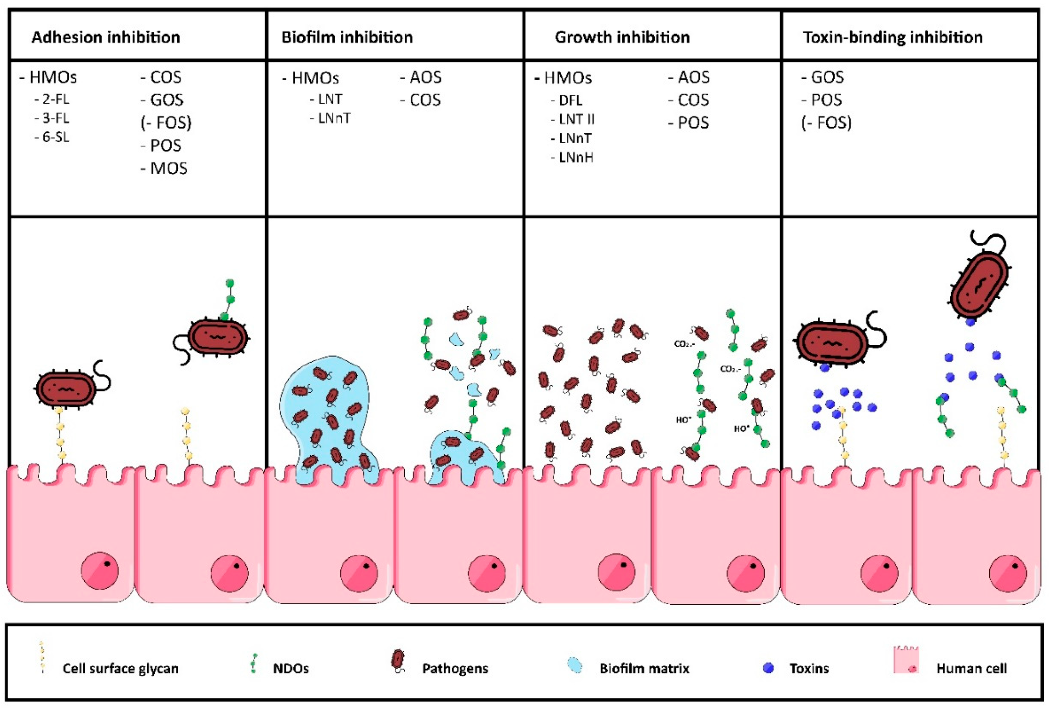 Nutrients 12 01789 g008