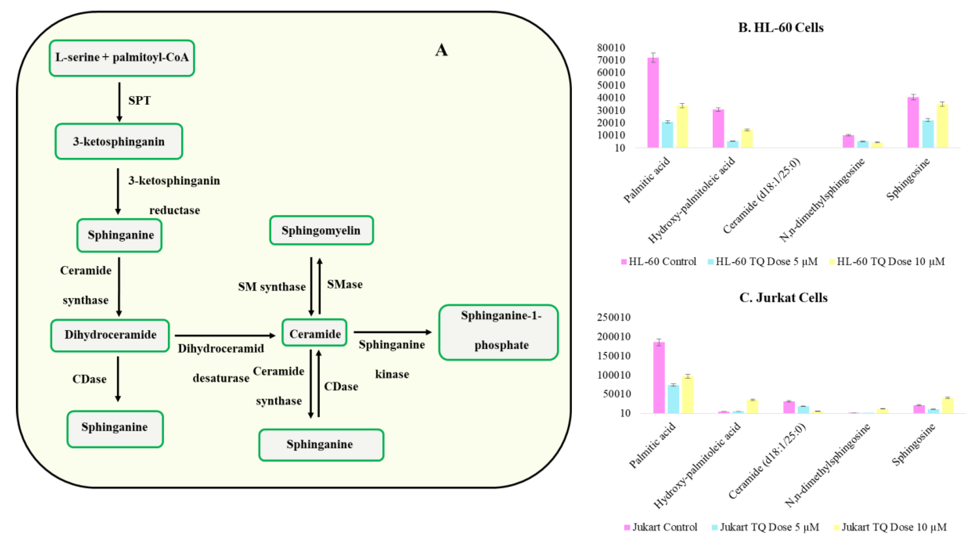 Nutrients 12 01792 g008