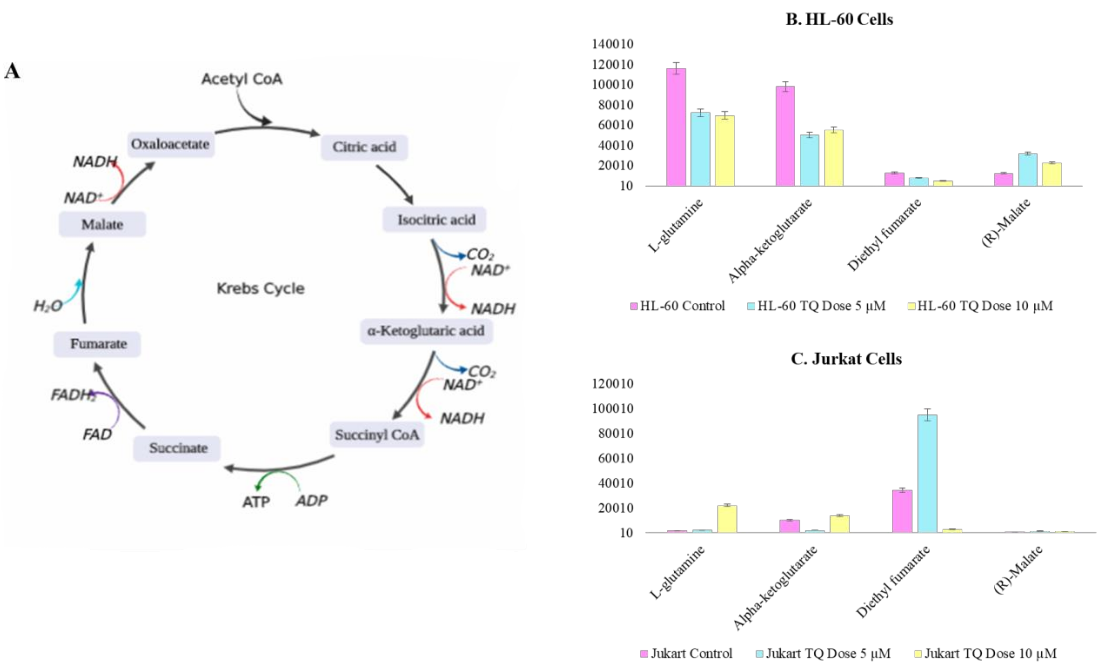 Nutrients 12 01792 g009
