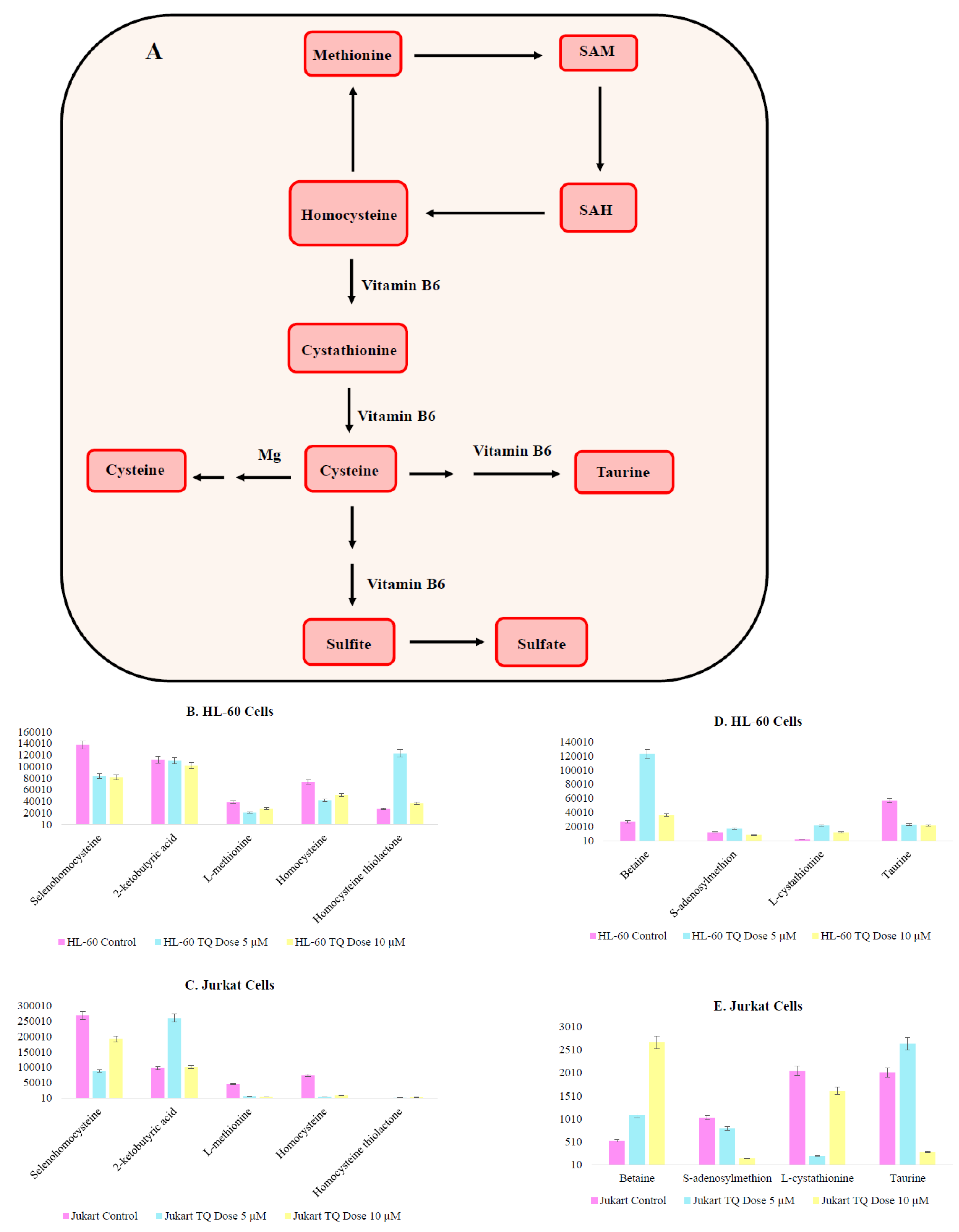 Nutrients 12 01792 g010