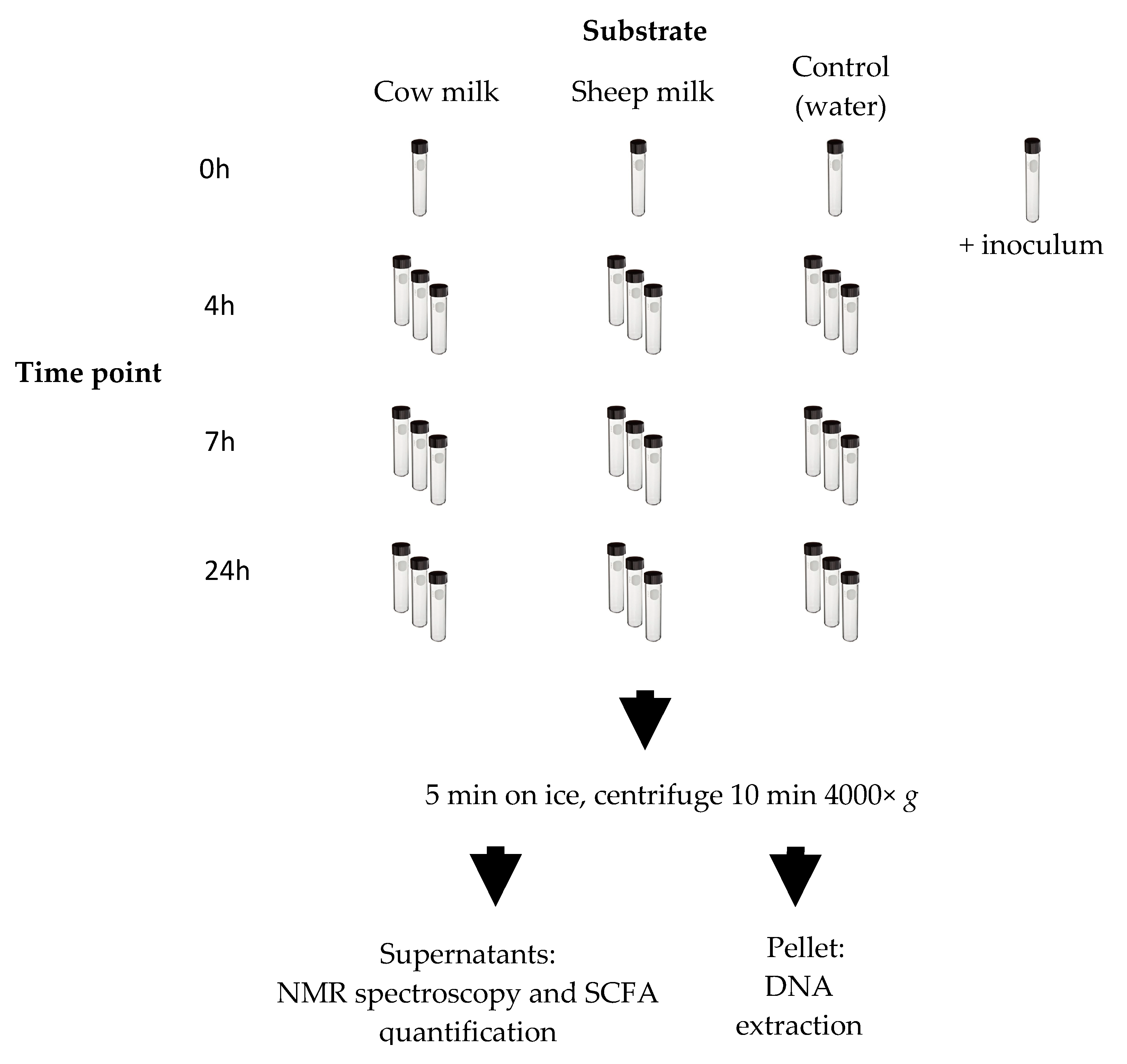 Nutrients 12 01802 g001 Nutrients 12 01802 g001