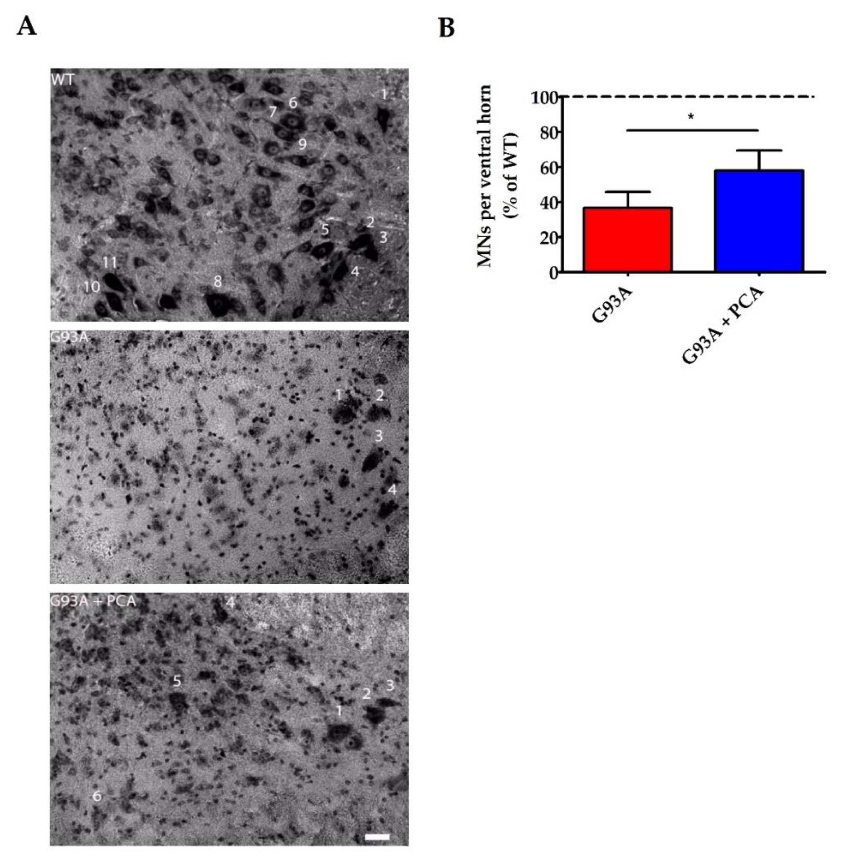 Nutrients 12 01824 g005