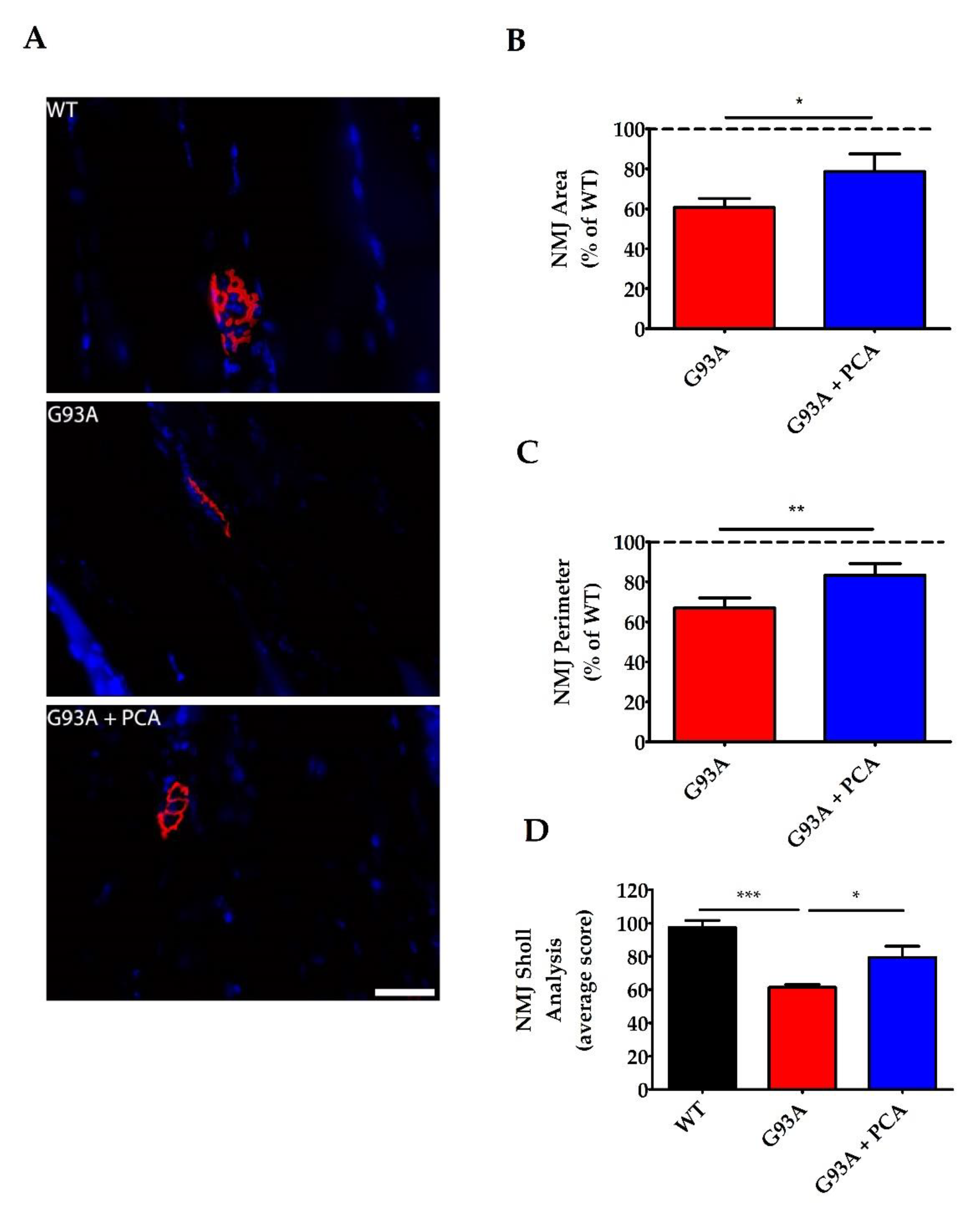 Nutrients 12 01824 g008