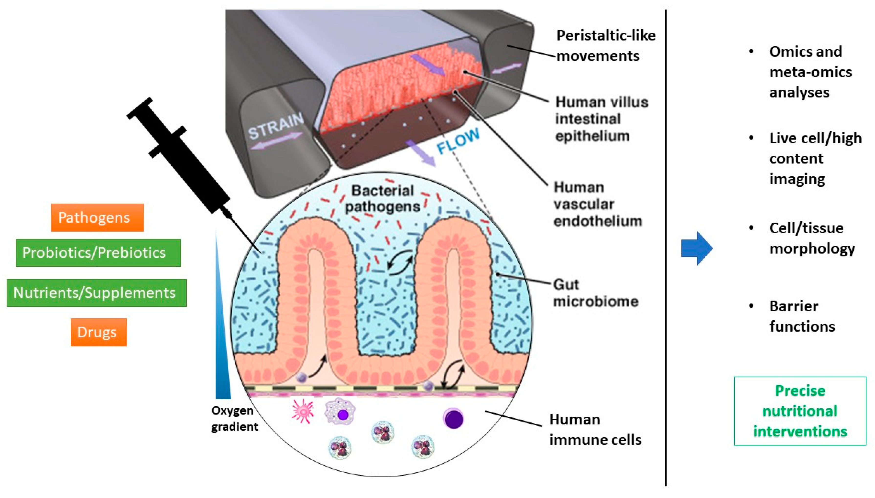 Nutrients 12 01827 g002
