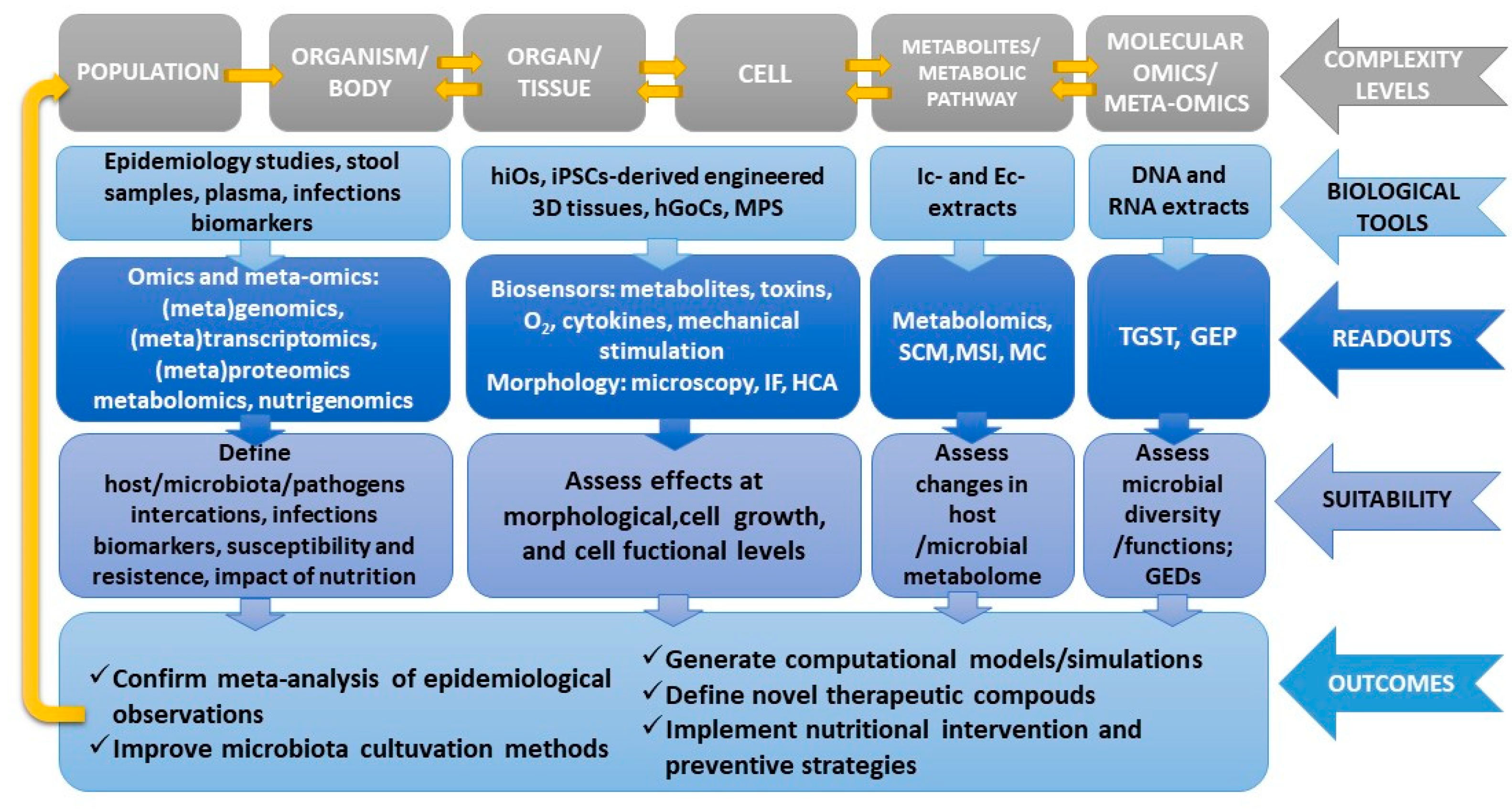 Nutrients 12 01827 g003