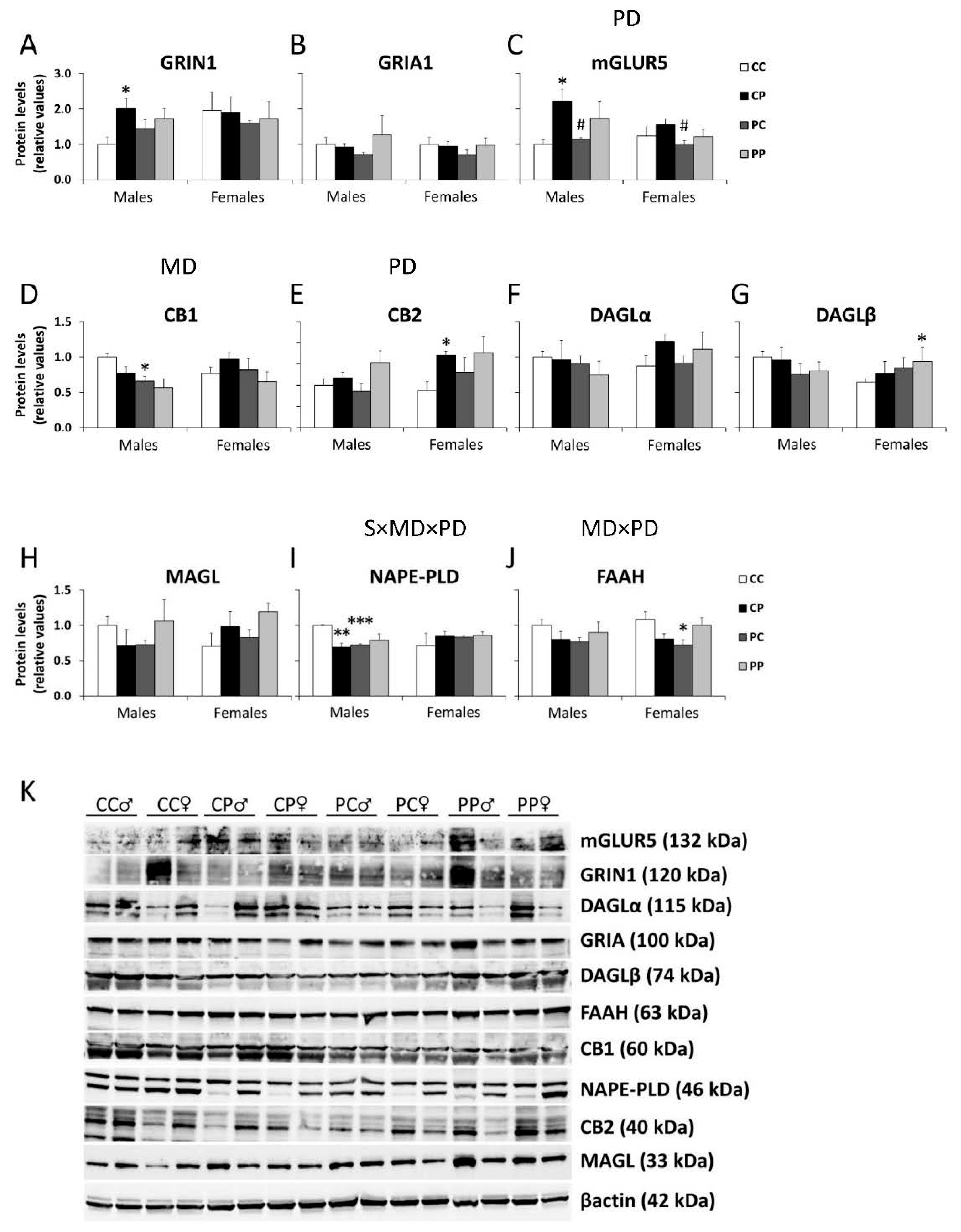 Nutrients 12 01829 g004 Nutrients 12 01829 g004