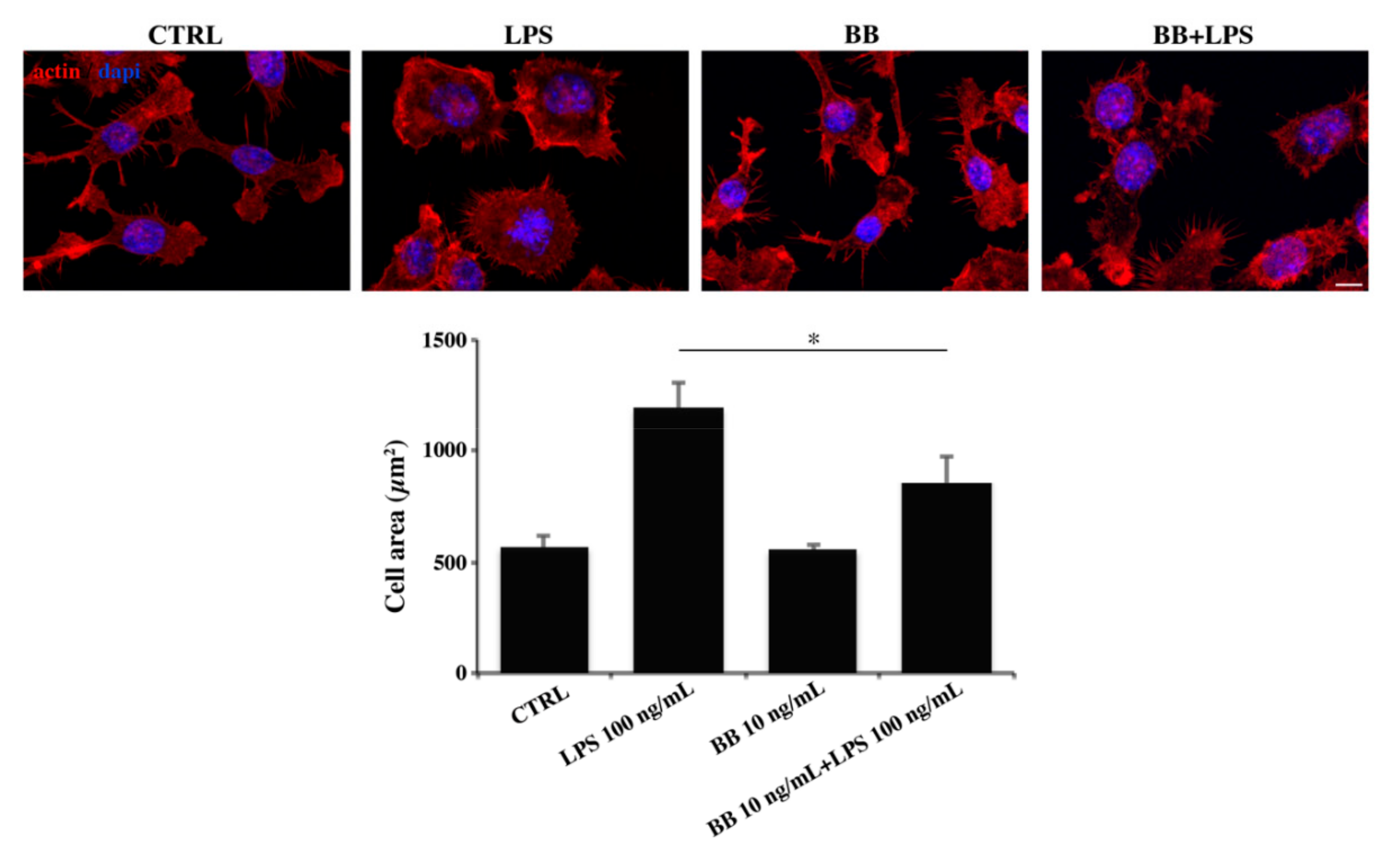 Nutrients 12 01830 g003 Nutrients 12 01830 g003