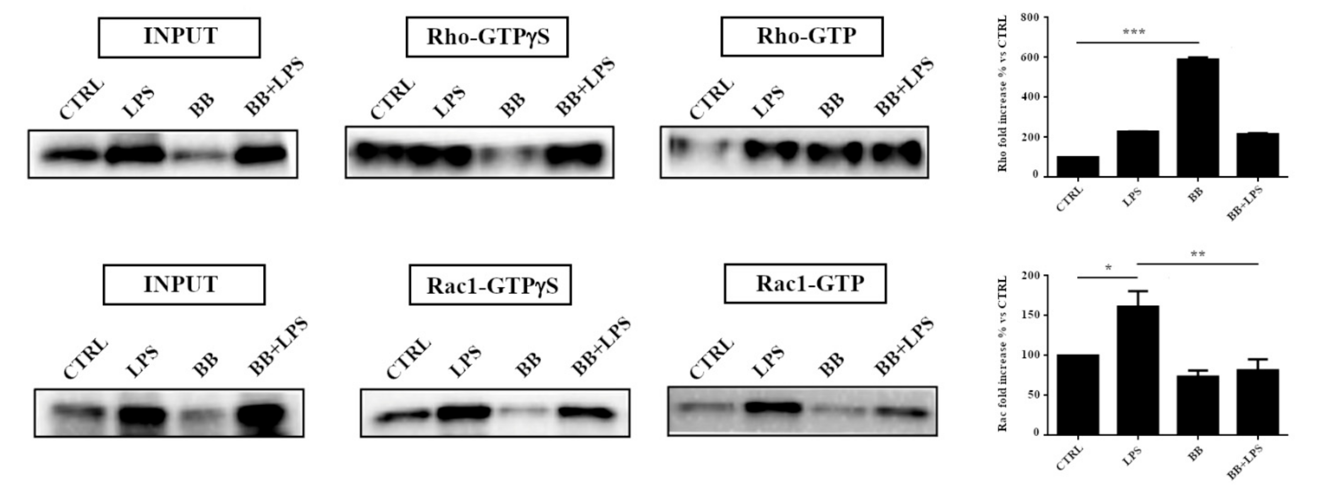 Nutrients 12 01830 g005 Nutrients 12 01830 g005