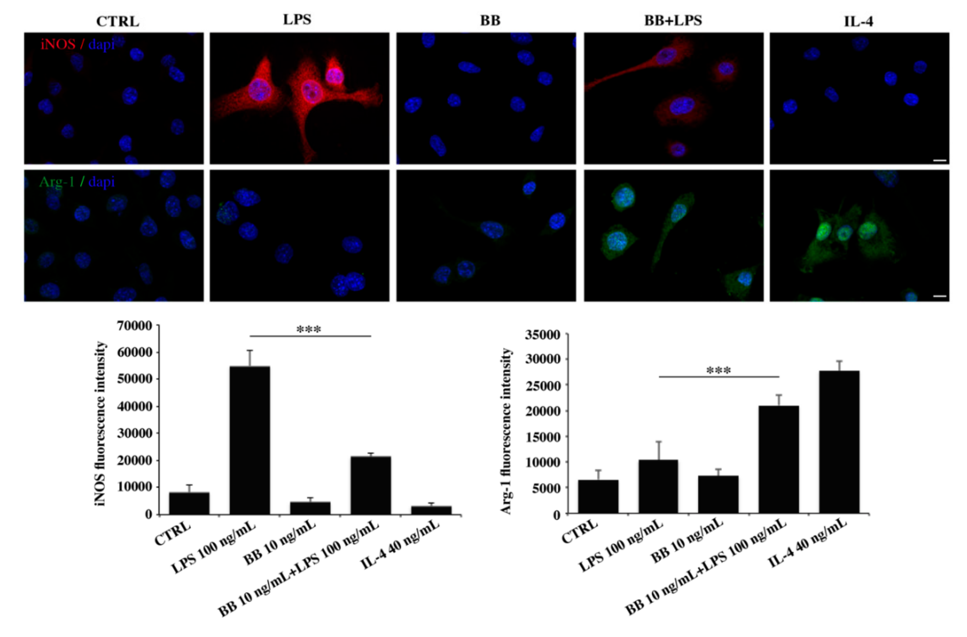 Nutrients 12 01830 g006 Nutrients 12 01830 g006